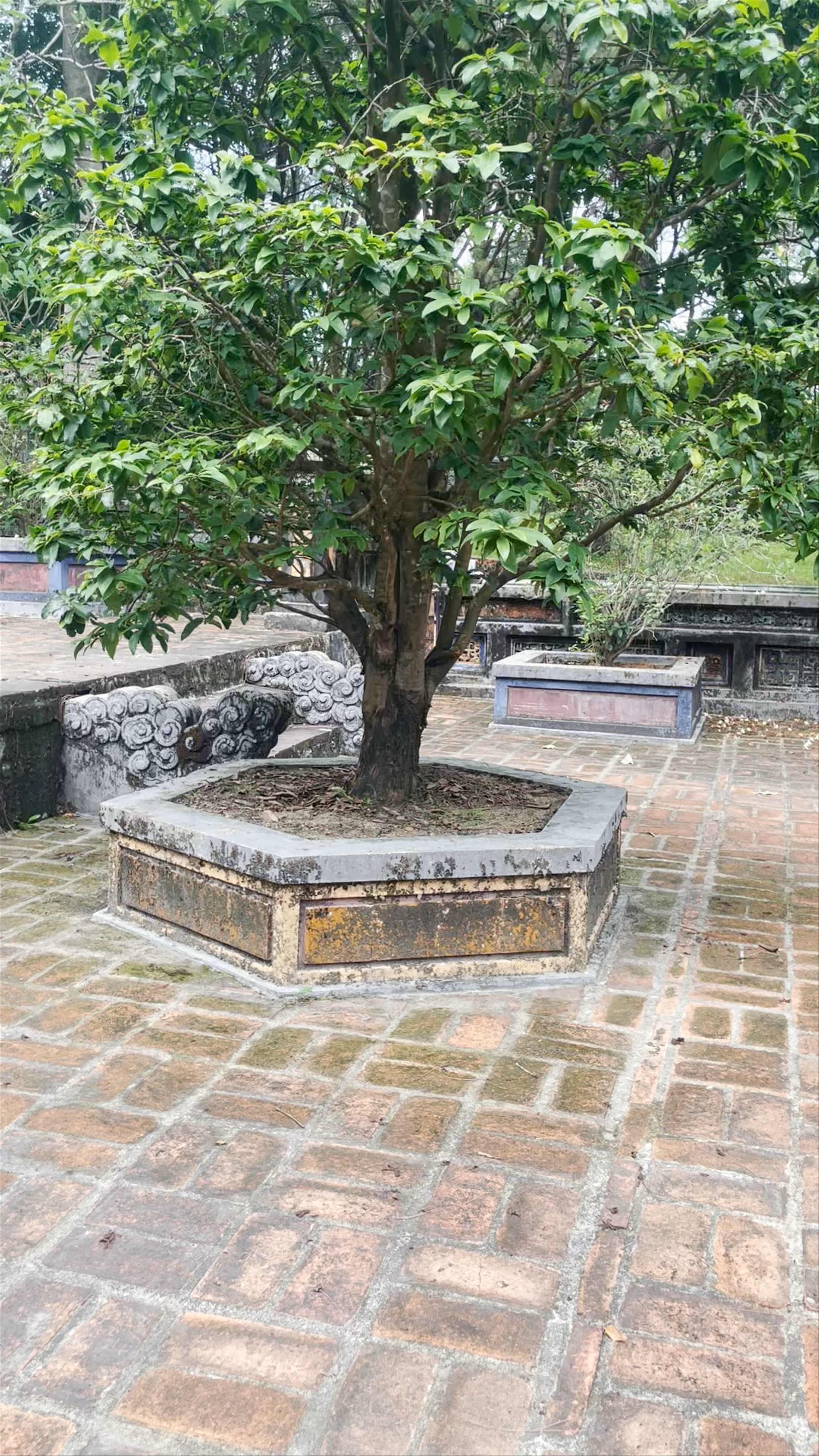 Tomb of Tu Duc King's Wife: A Quiet Sanctuary in Hue, Vietnam