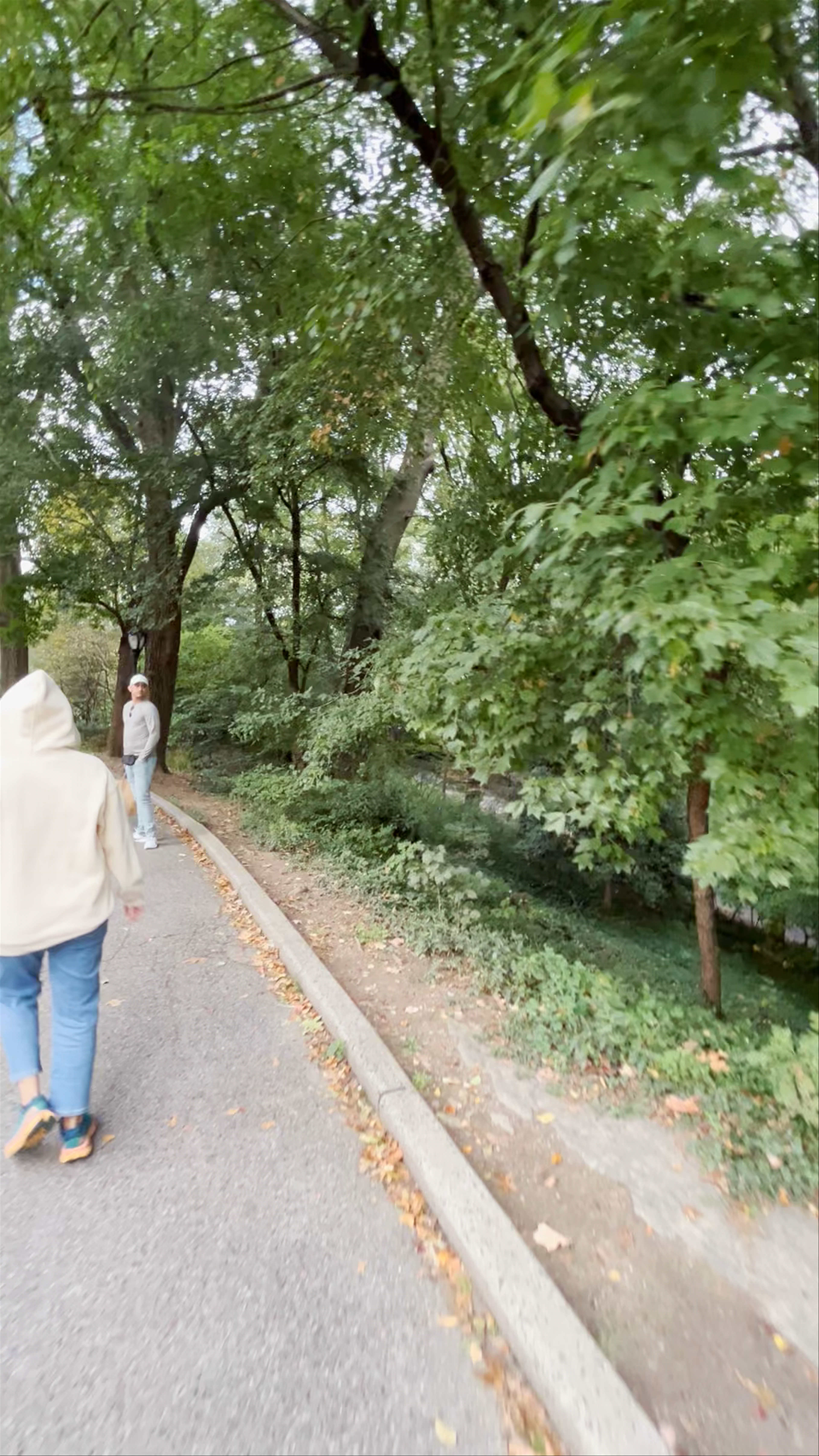 Central Park