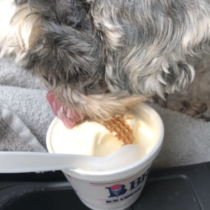 Braum's - Ice Cream & Frozen Yogurt Near Me - Murphy, Texas