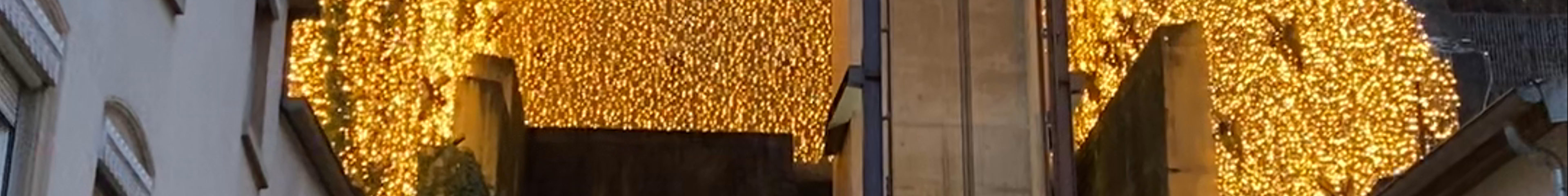 Tours & experiences in Luxembourg