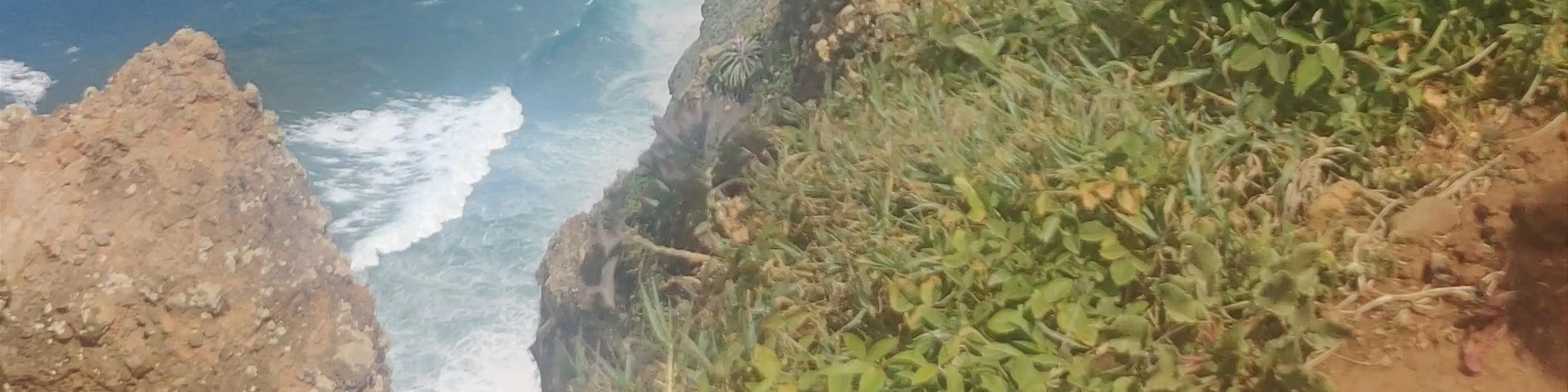 Câmara de Lobos