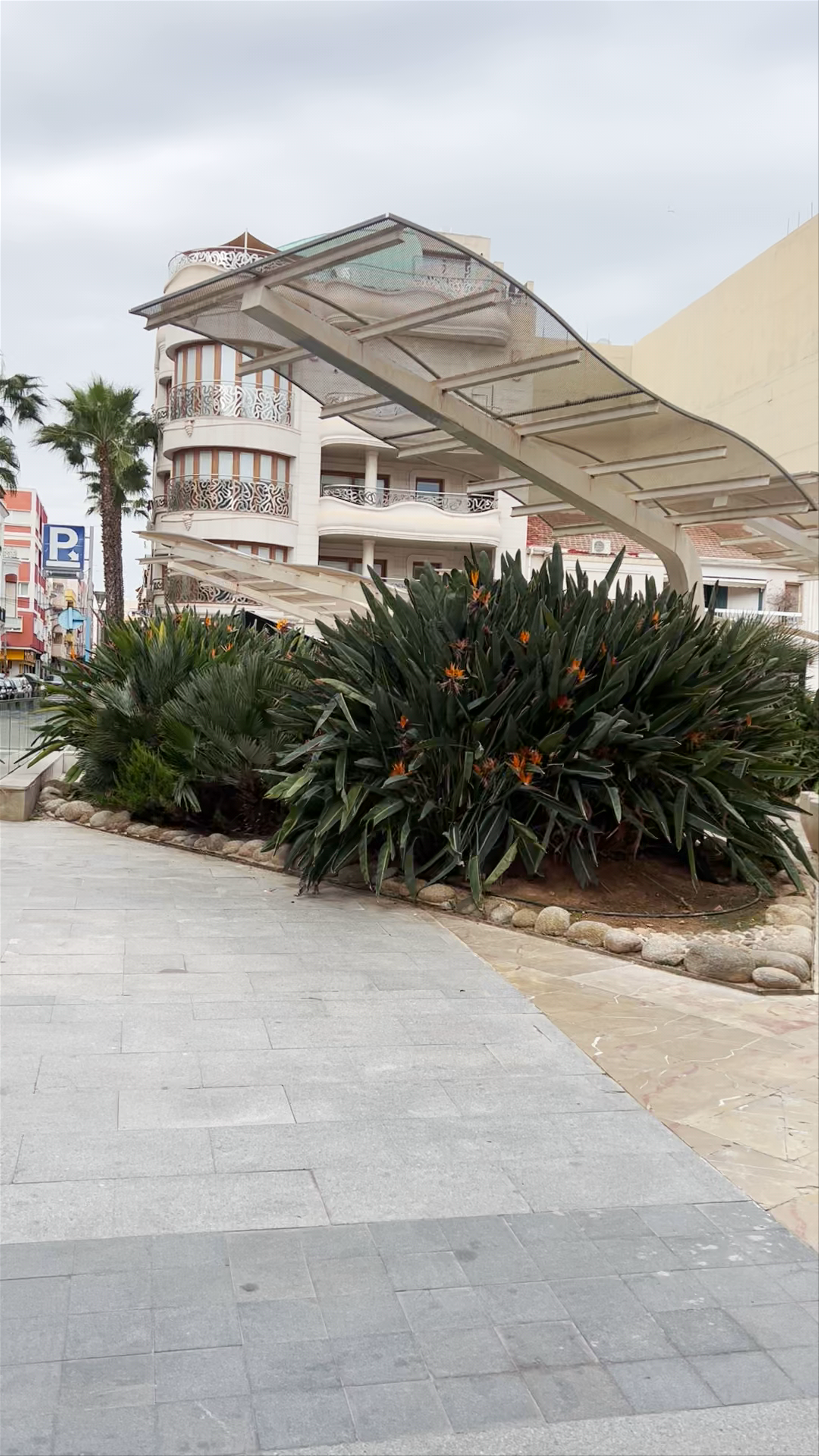 Plaza de Oriente: A Serene Urban Oasis in Torrevieja, Spain