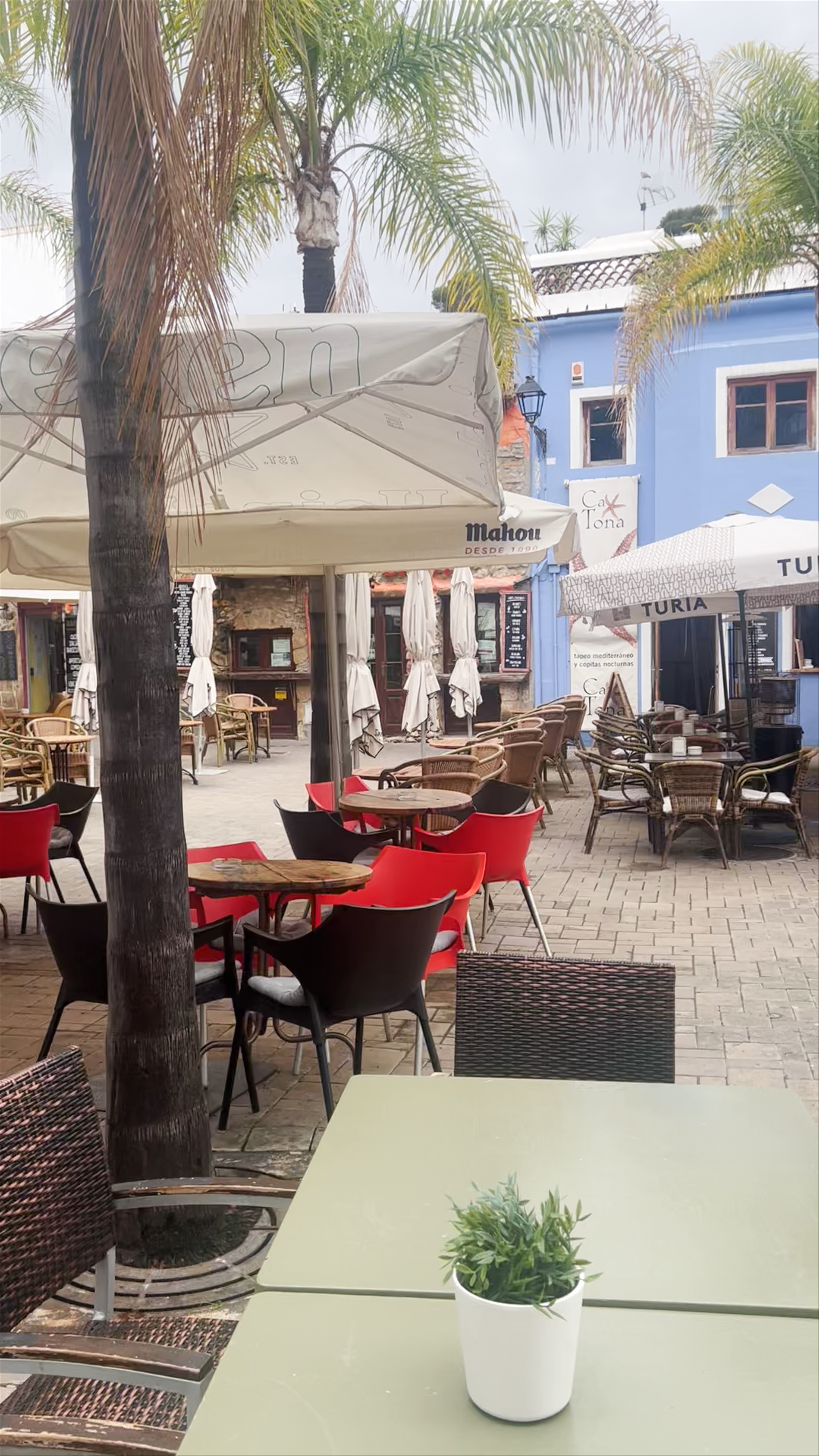 Quaint Plaza San Antonio: A Serene Outdoor Café in Dénia