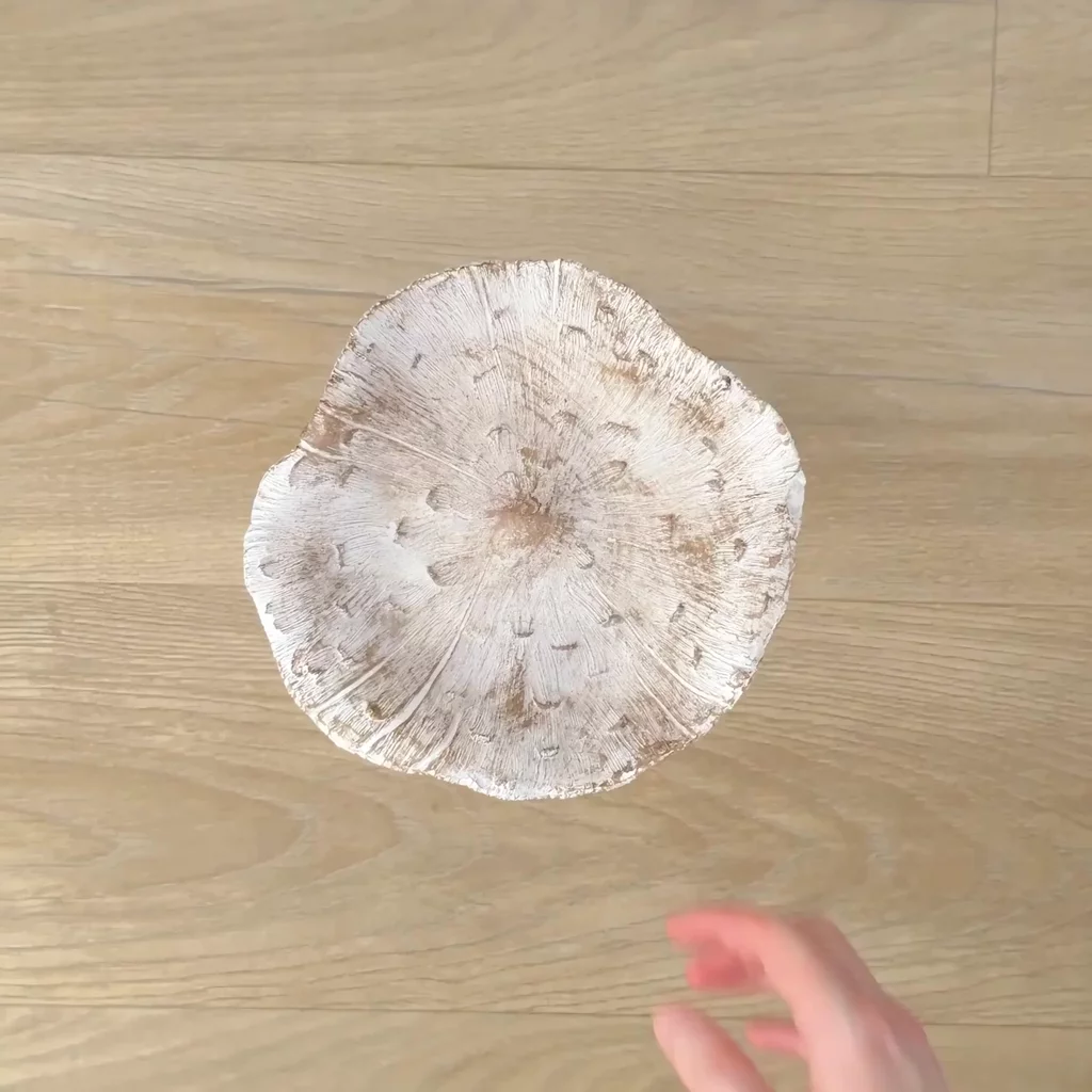 Product video