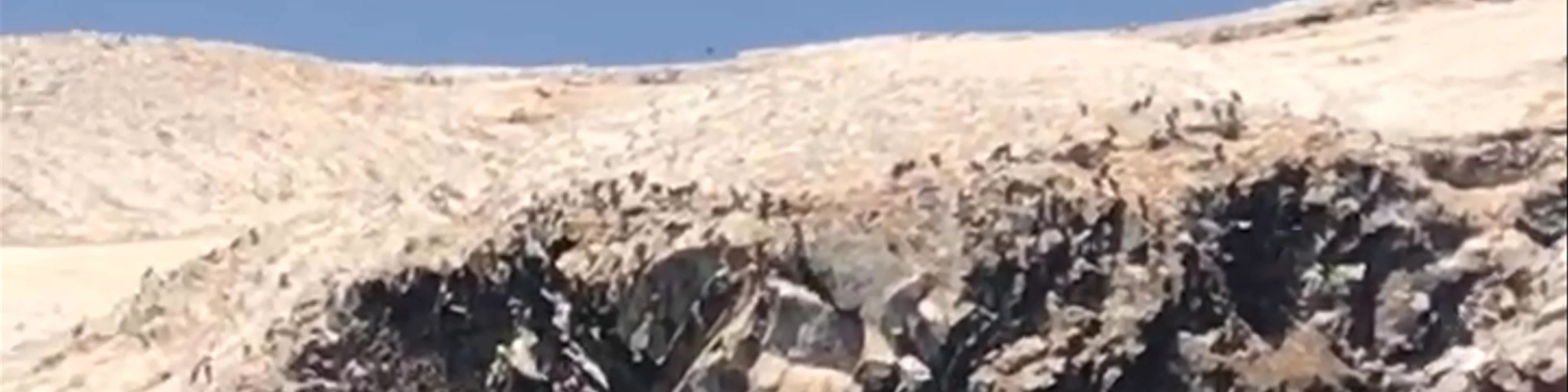 Ballestas Islands
