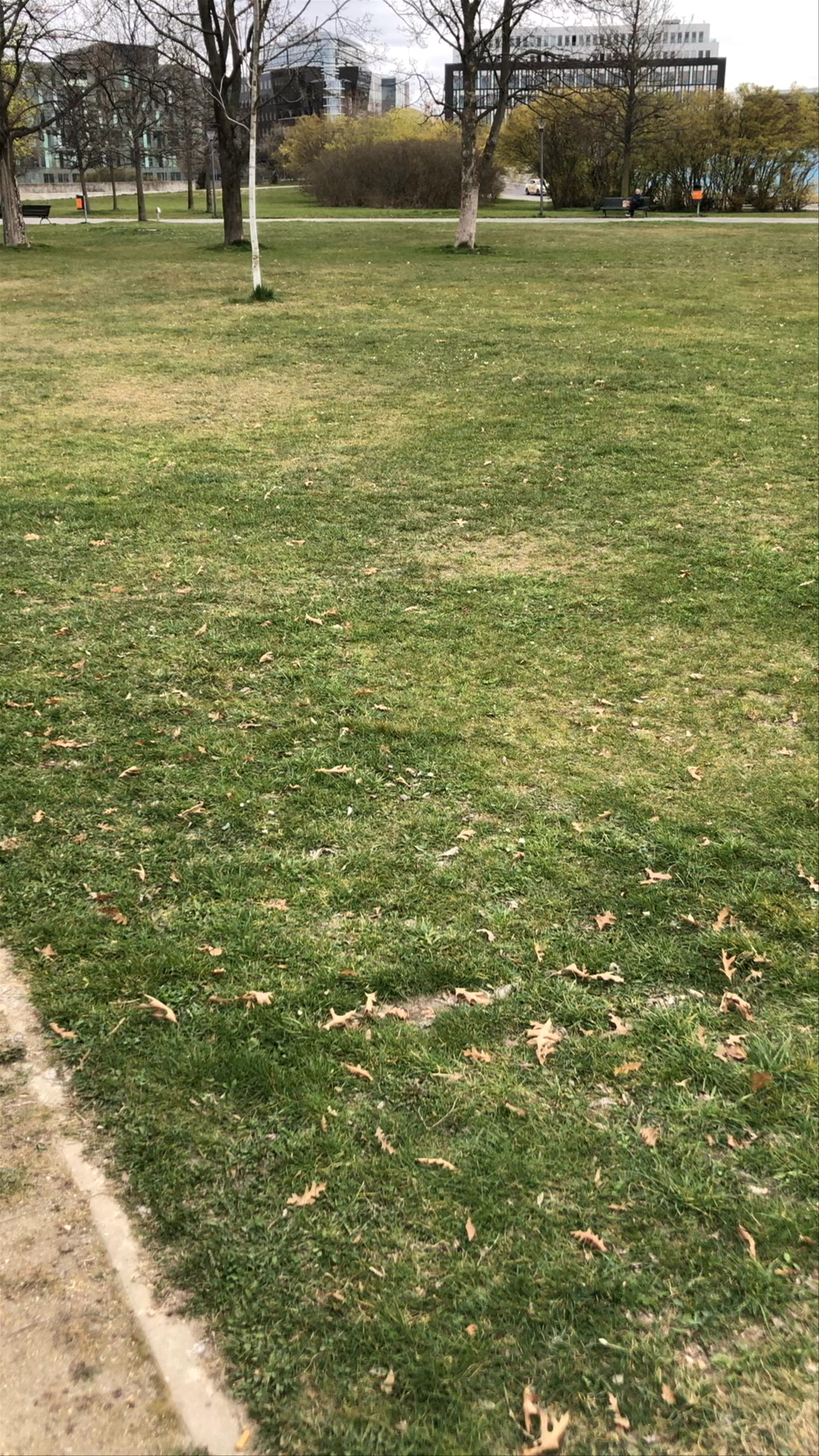 Spring Walk in Spreebogenpark - Fresh Urban Green Space in Berlin