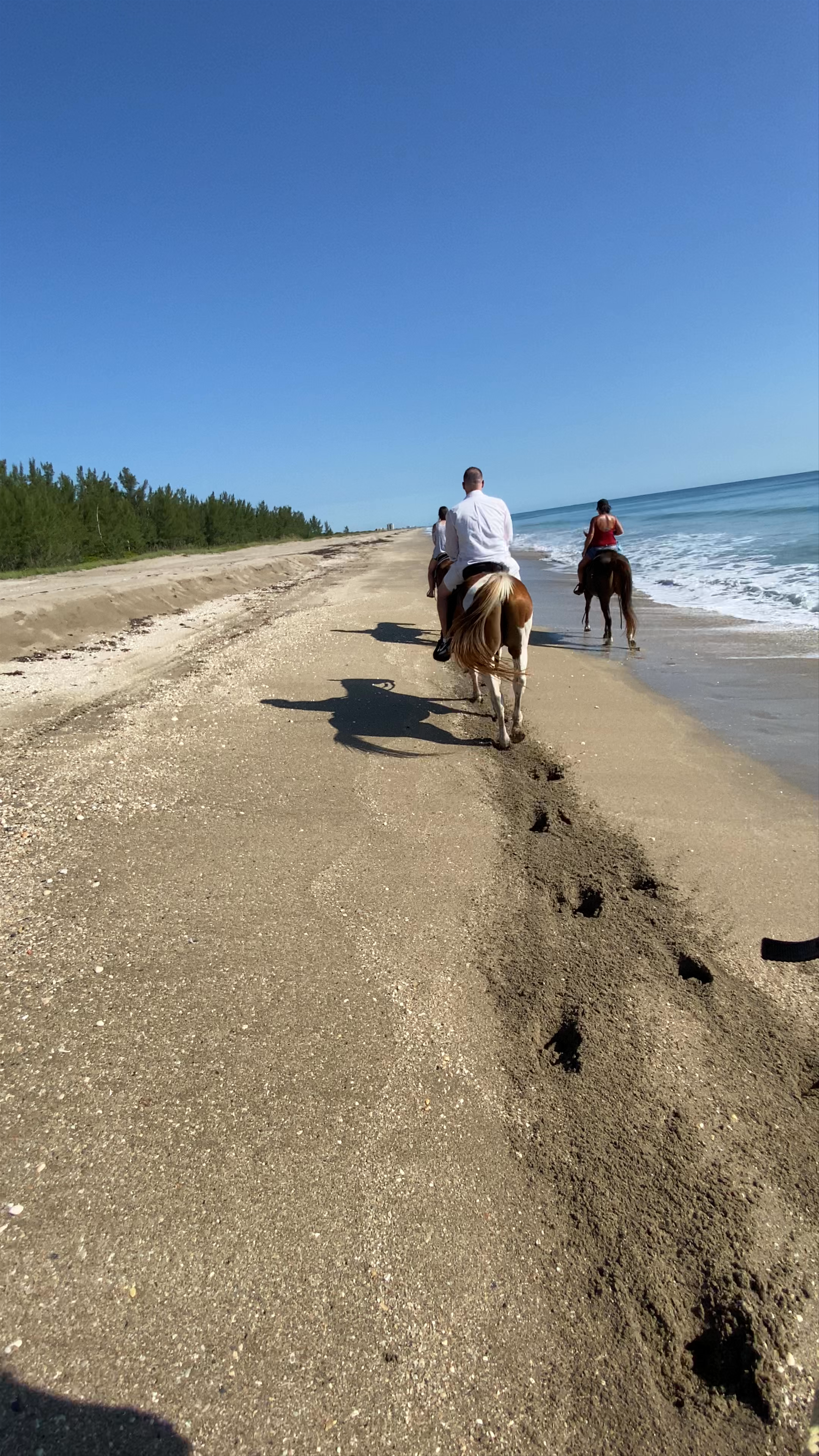 Beach Tours on Horse Back