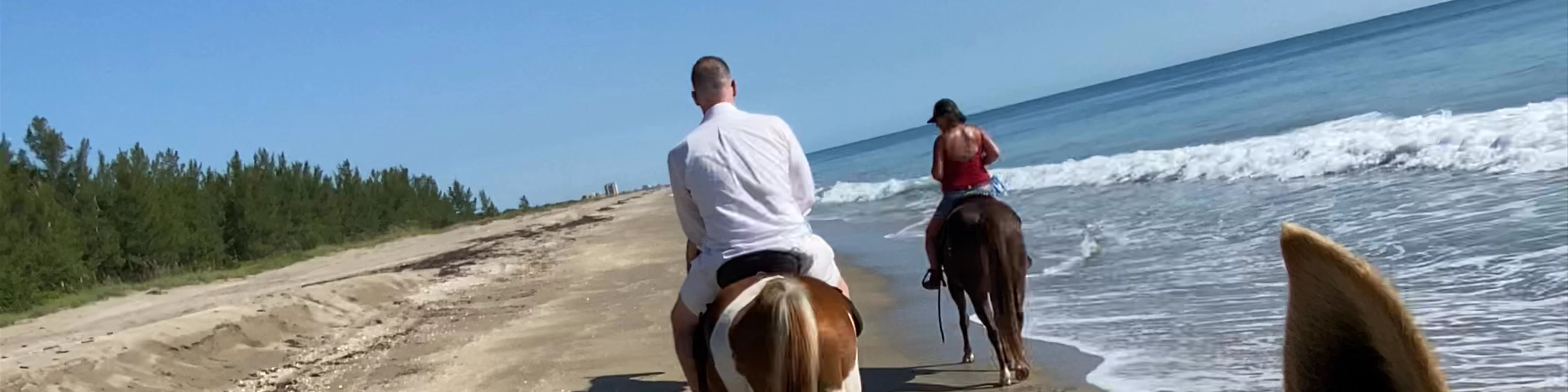 Beach Tours on Horse Back