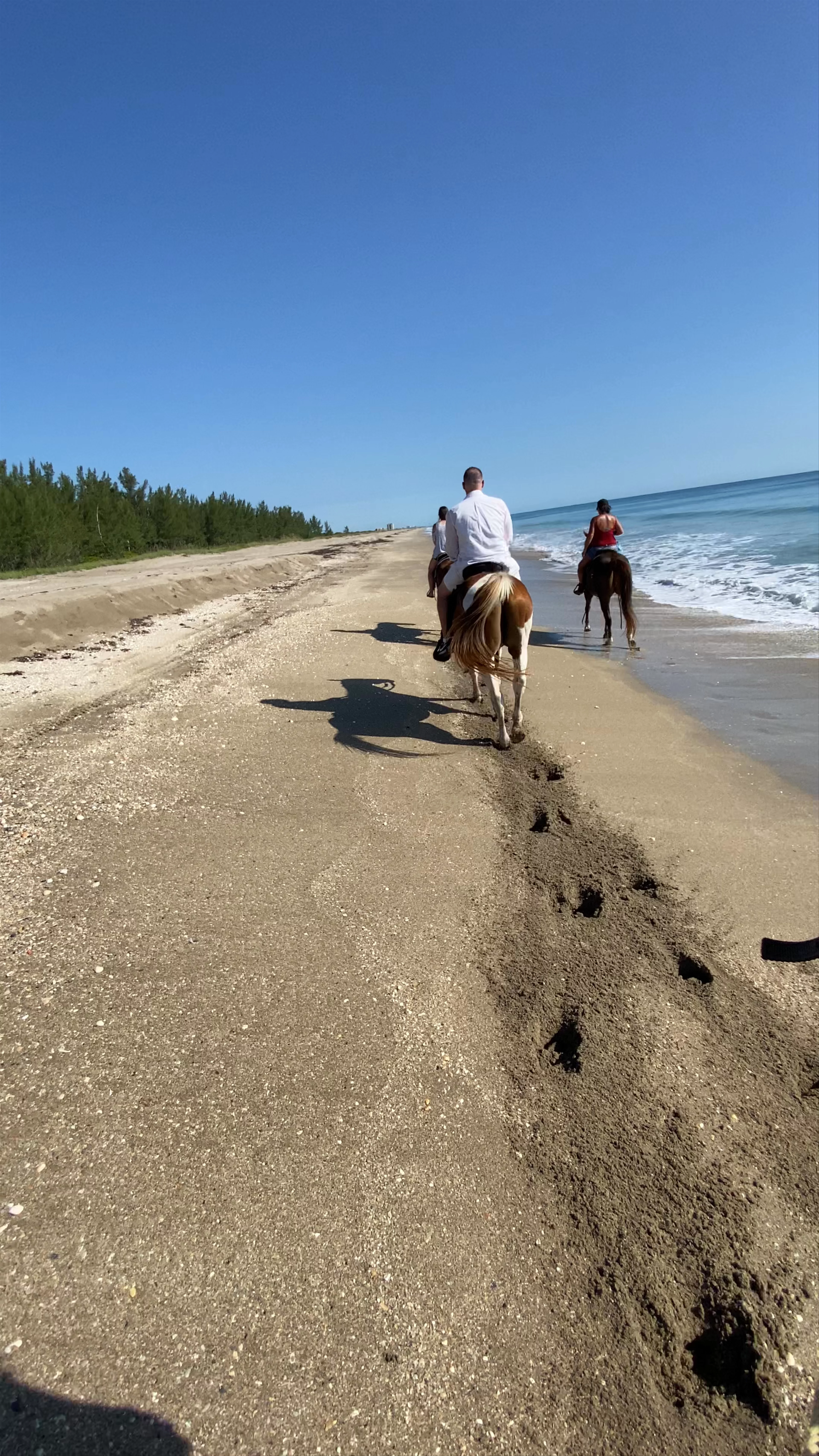 Tours on Horseback, South Ocean Drive