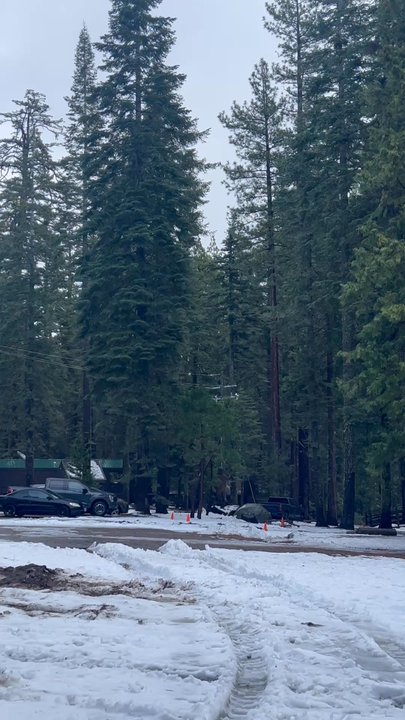 Pinecrest Chalet - Beautiful views on site - Hotels Near Me - Pinecrest, California