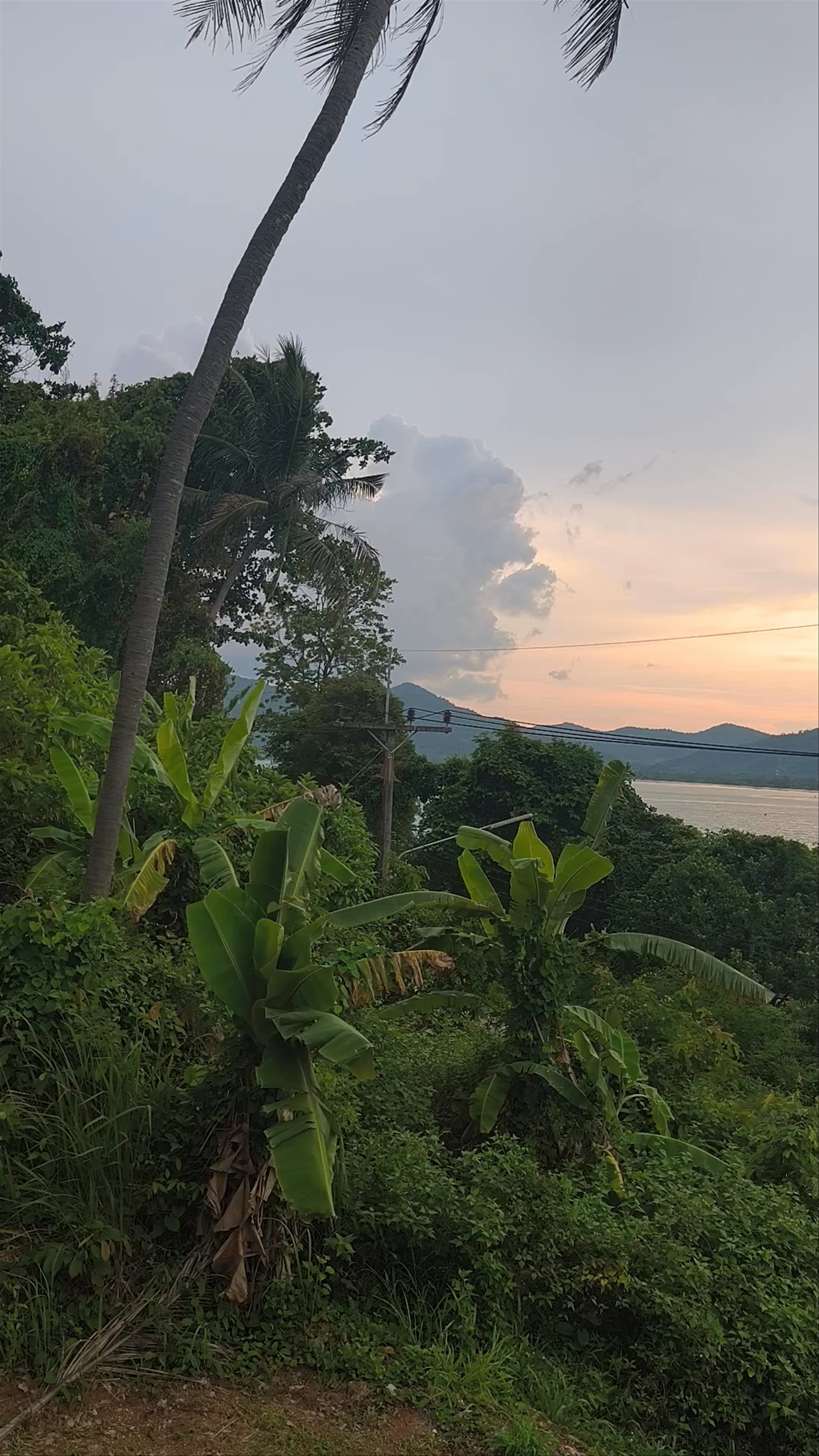 Koh Yao Noi