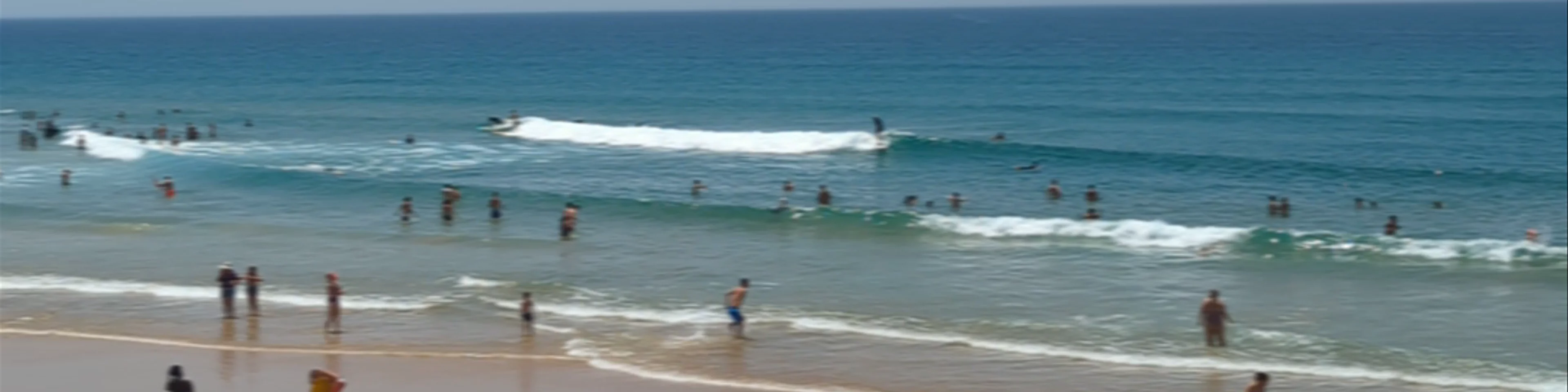 Praia da Costa da Caparica