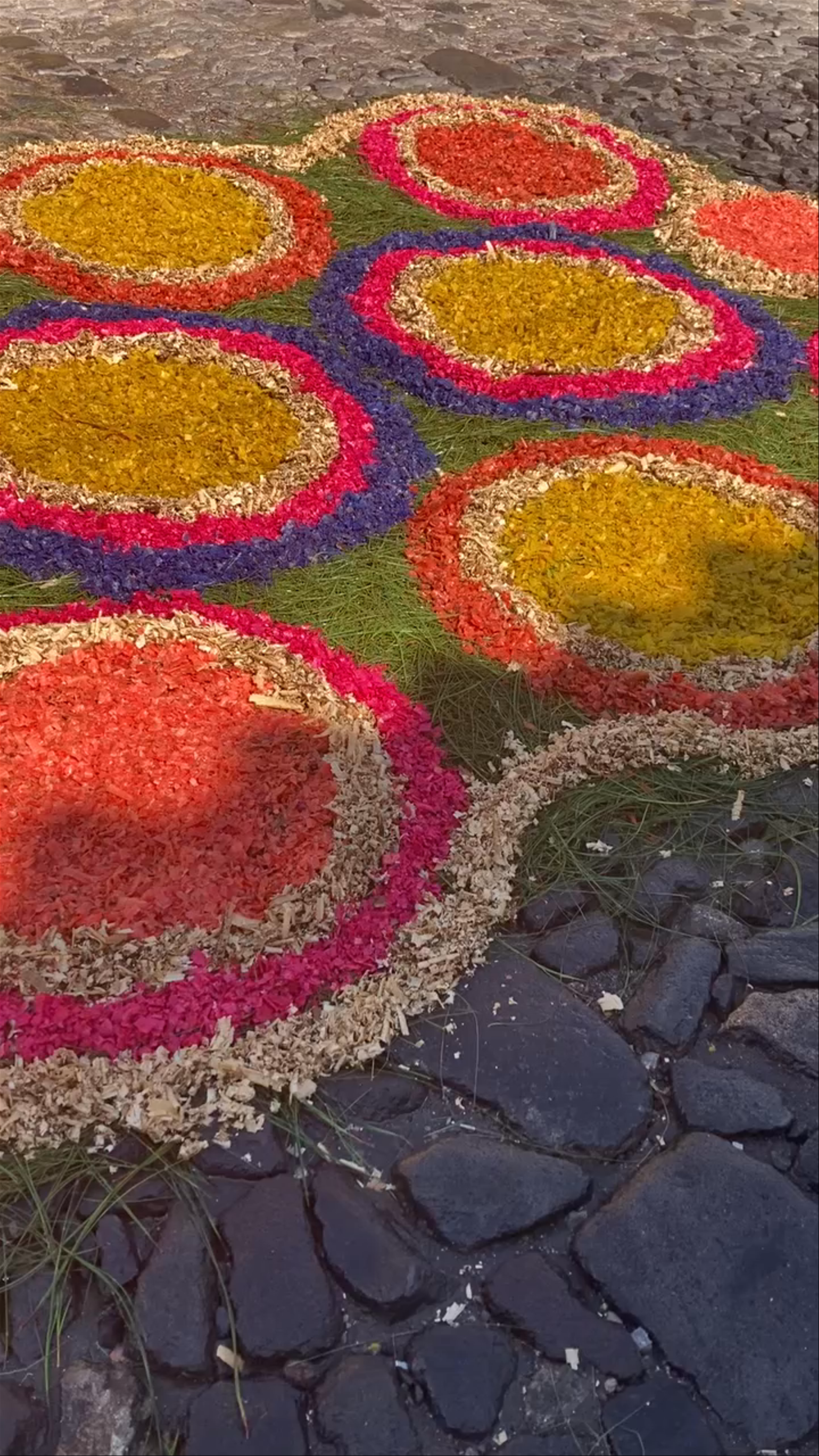 Antigua Guatemala’s Vibrant Flower Carpets Celebration