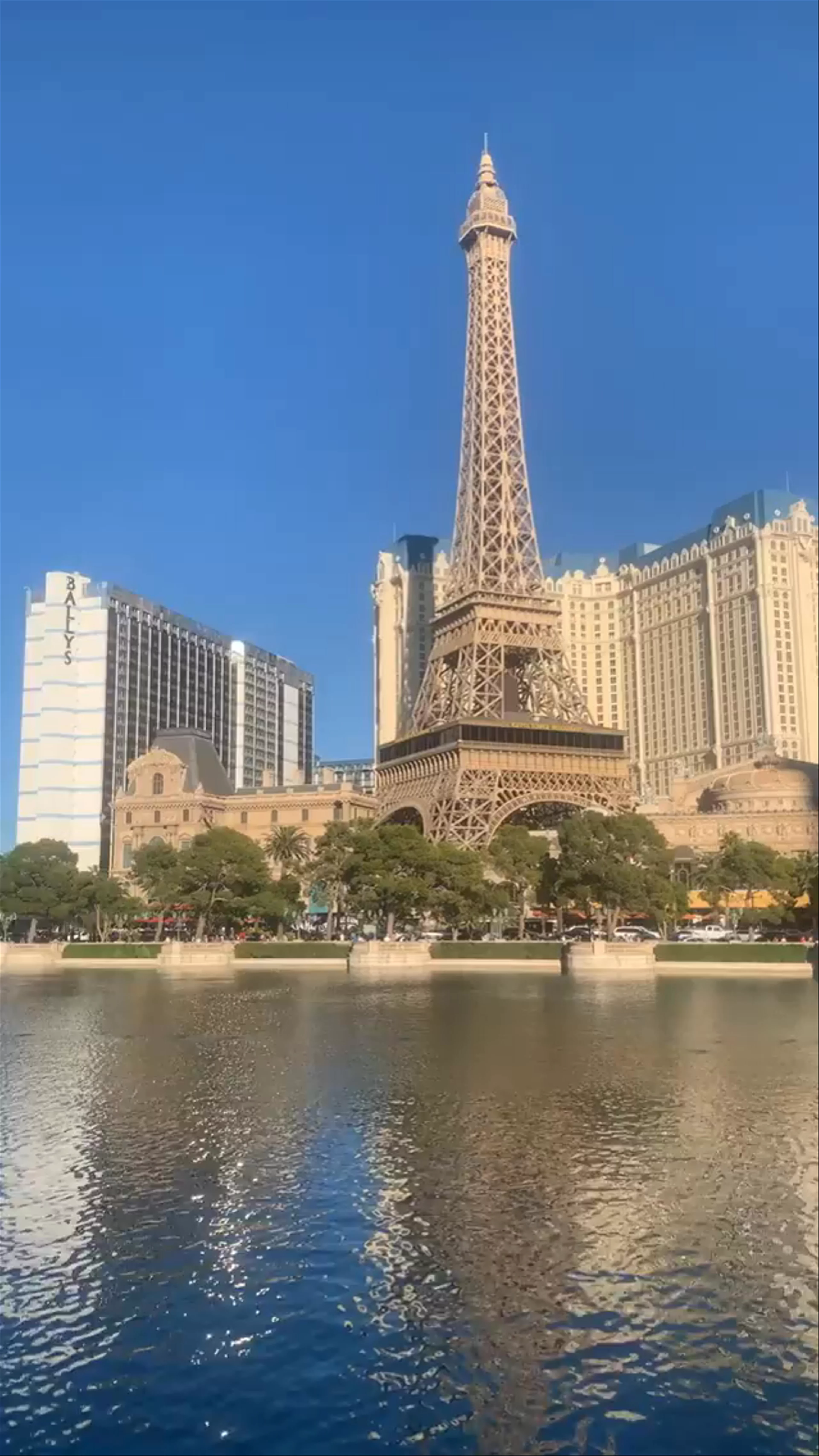 Bellagio Drive