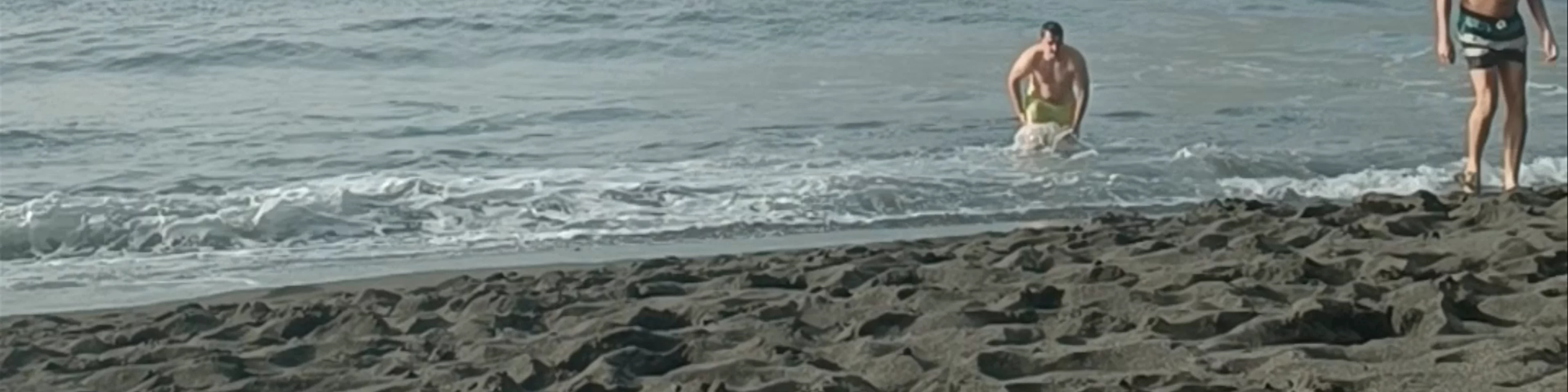 Playa de los Gigantes