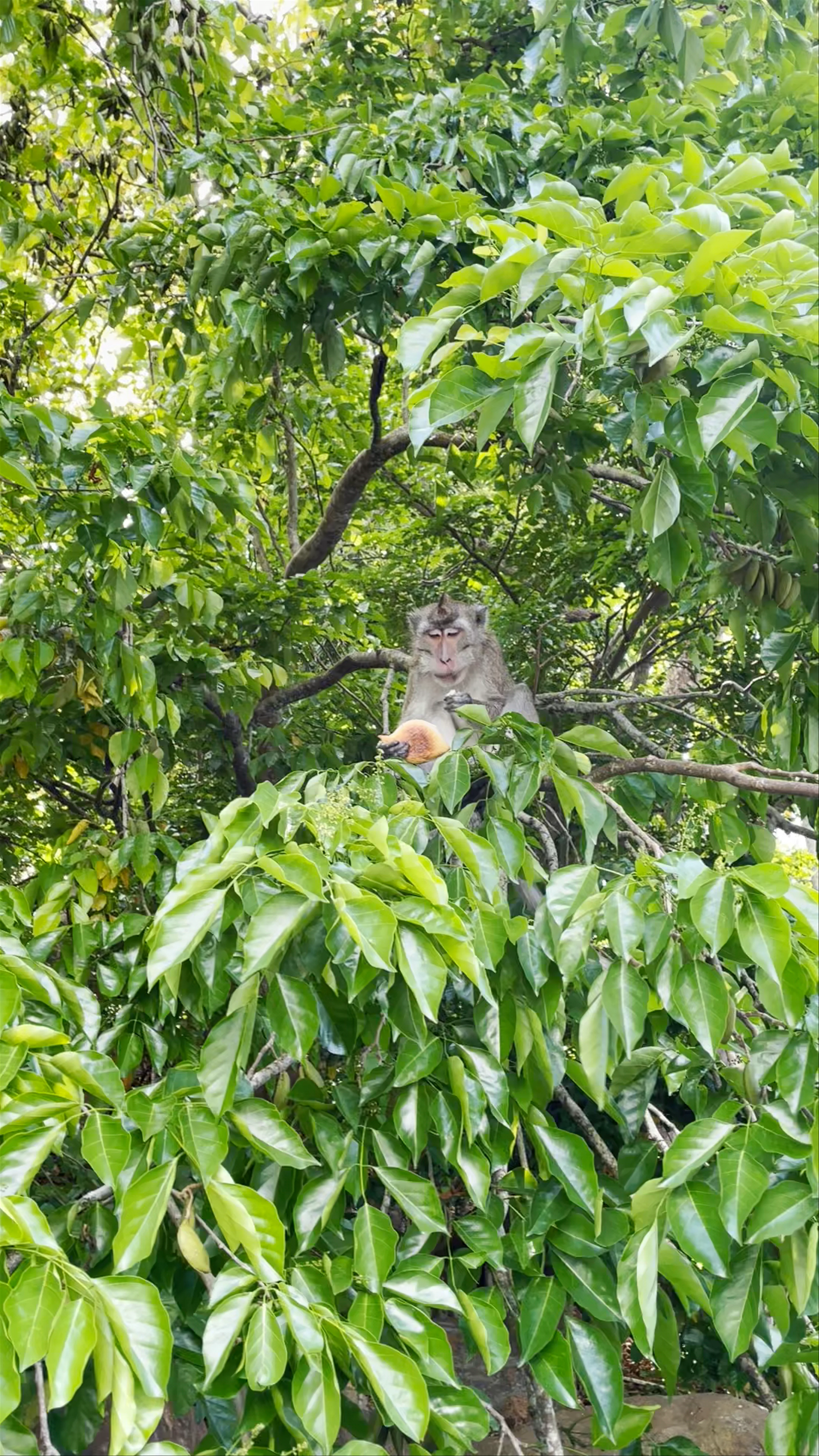 Grande Rivière Sud Est