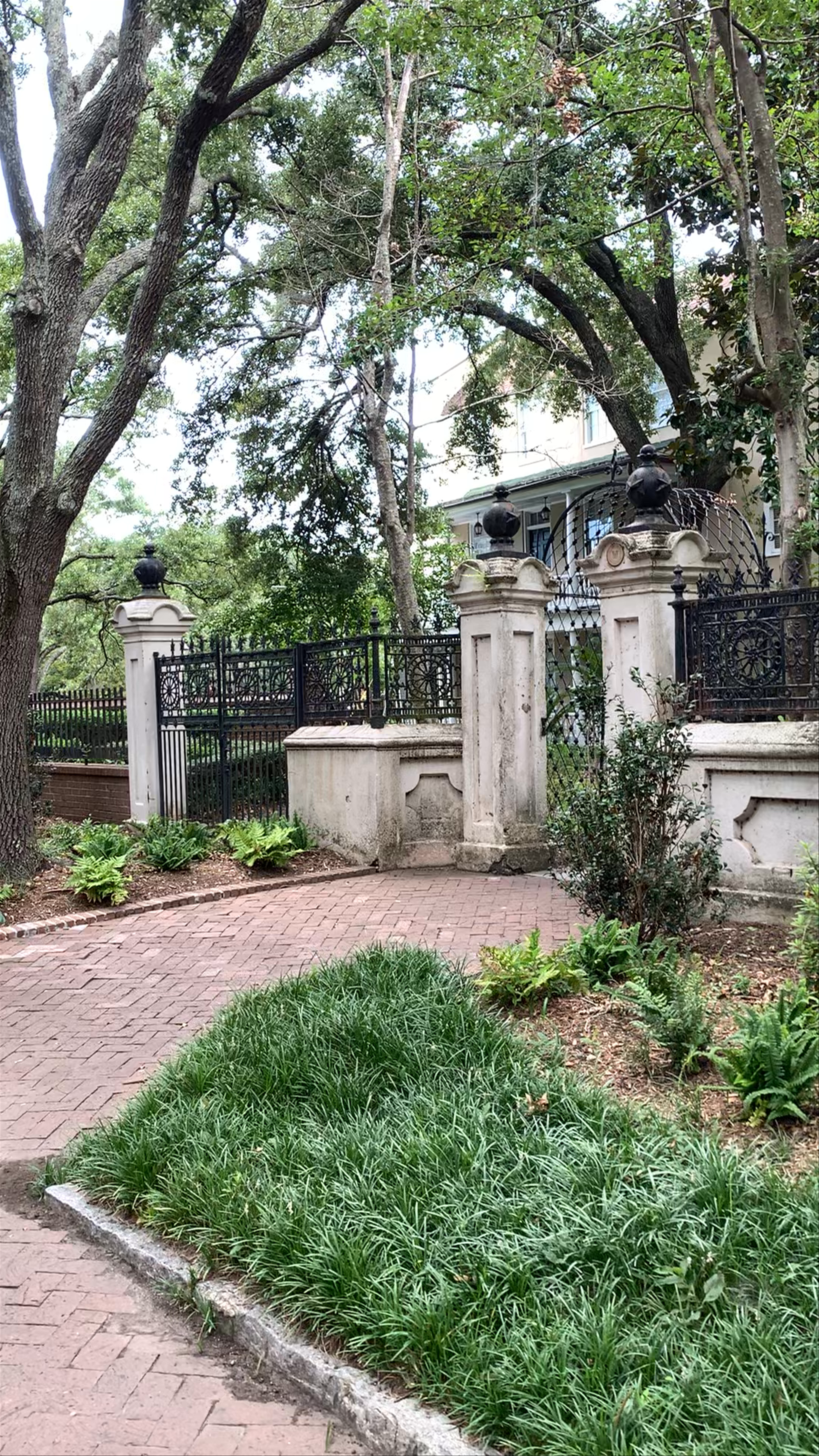 College of Charleston