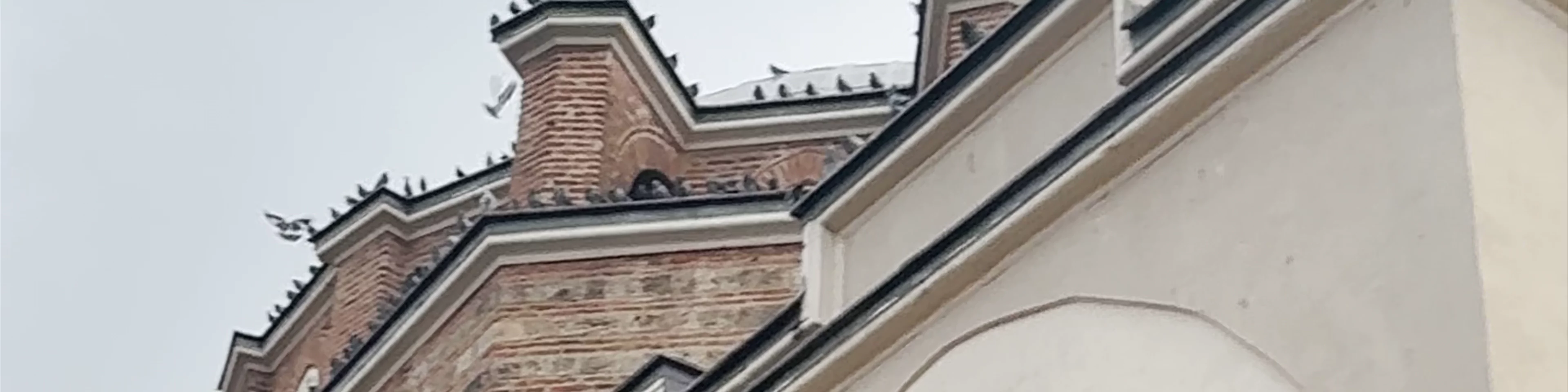 Sofia mosque - Banya Bashi