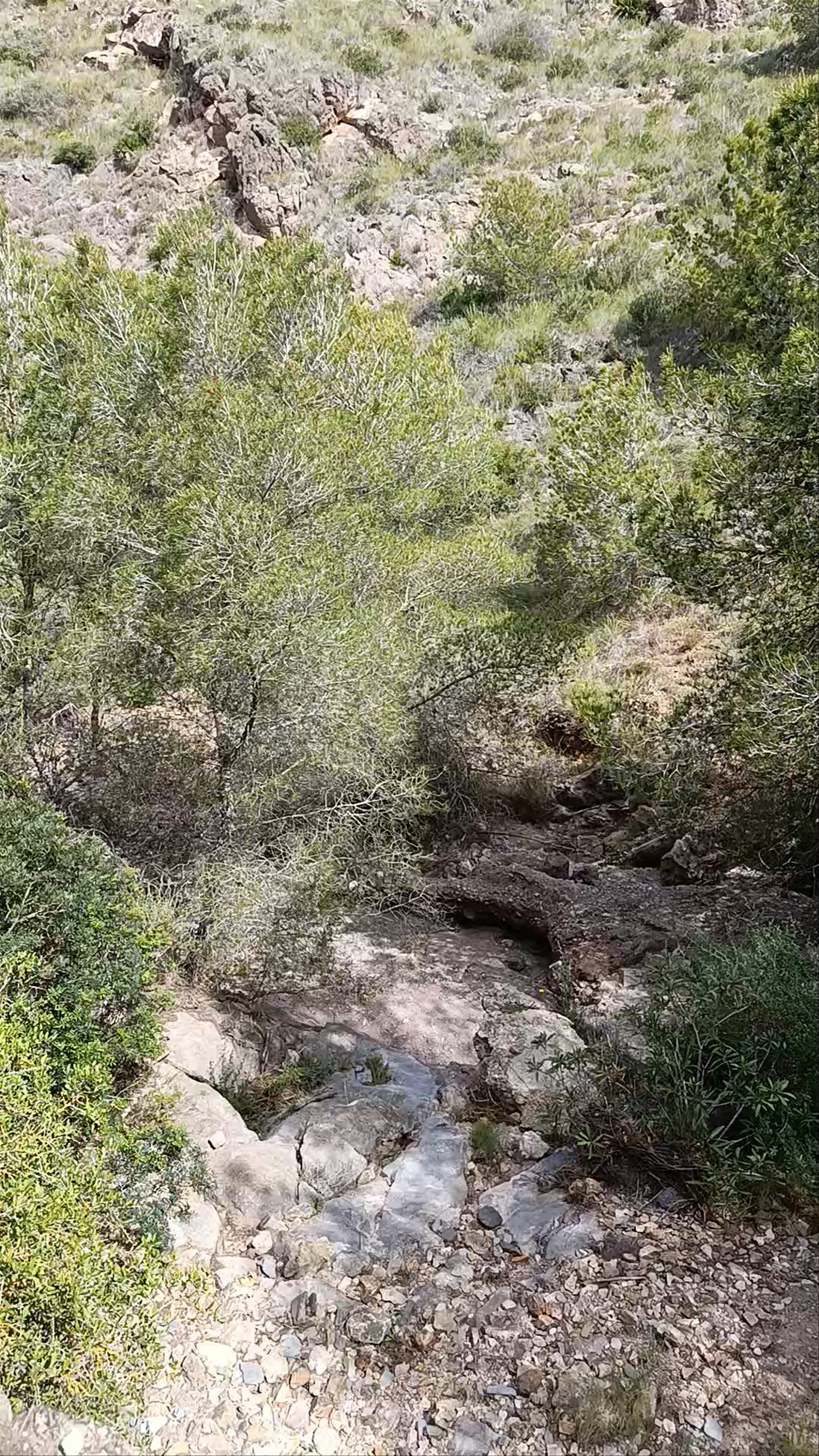 Calzada Romana Monte Cenizas