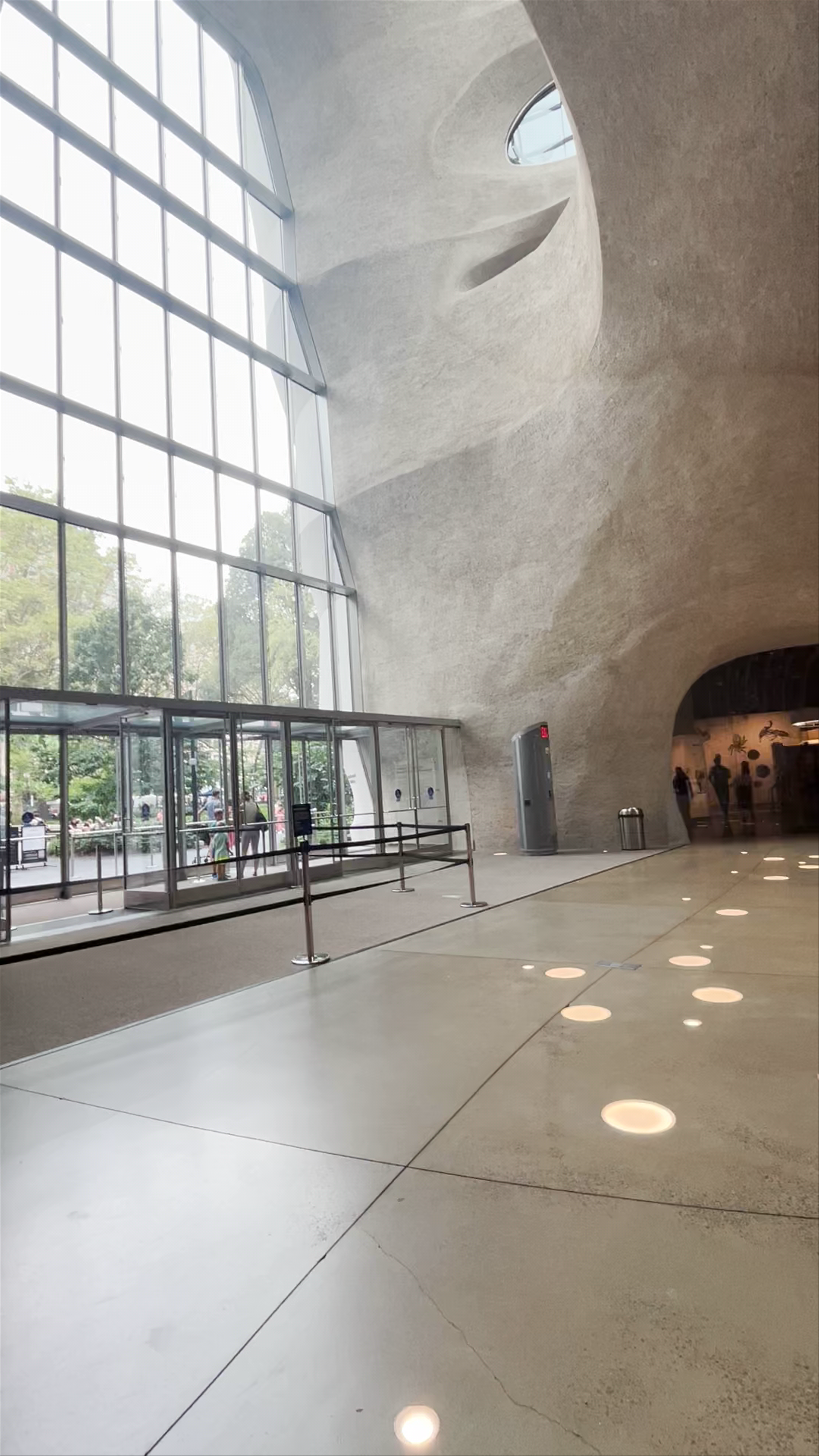 Inside the American Museum of Natural History: A Majestic Architectural Experience