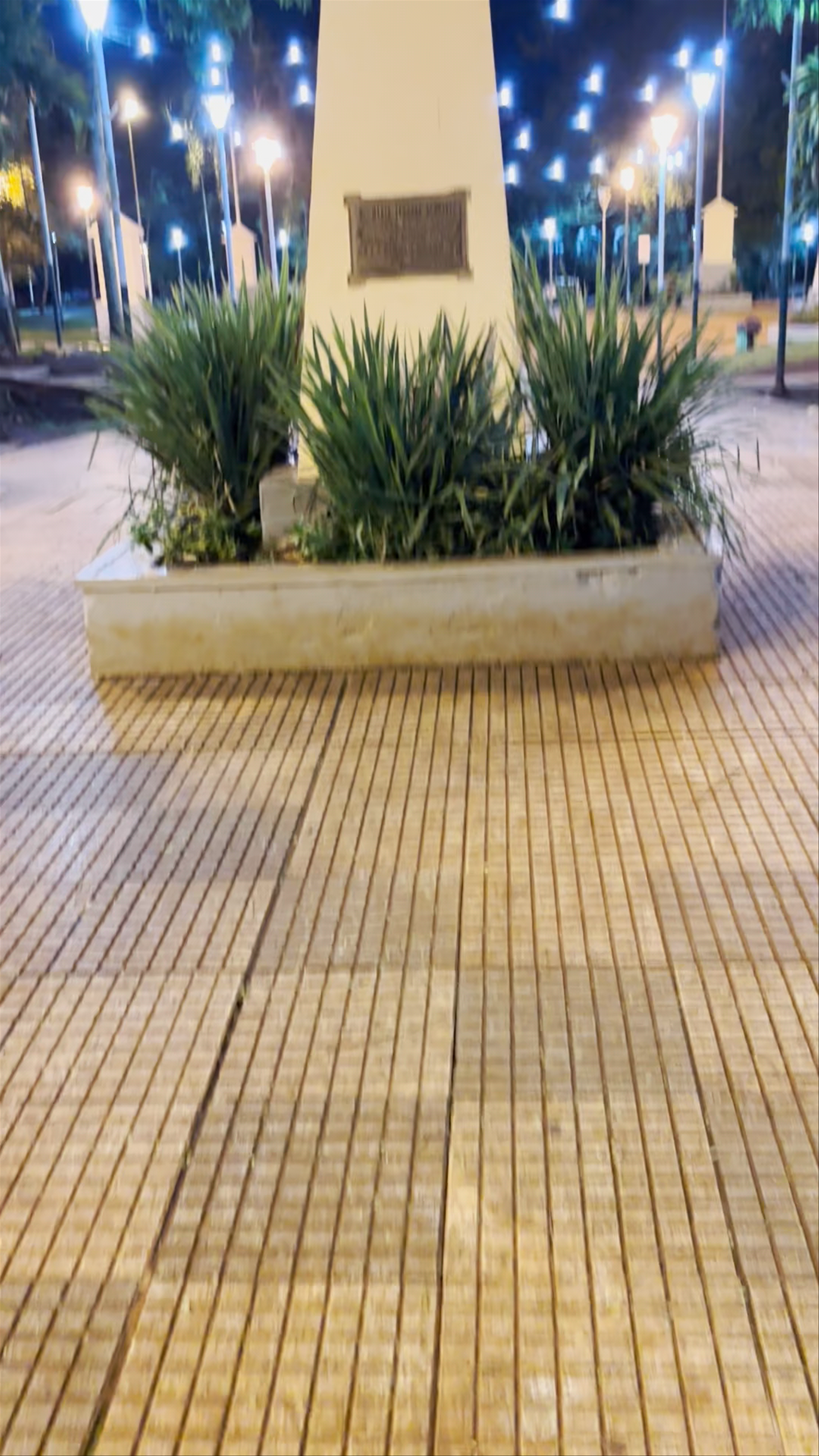 Plaza San Martin