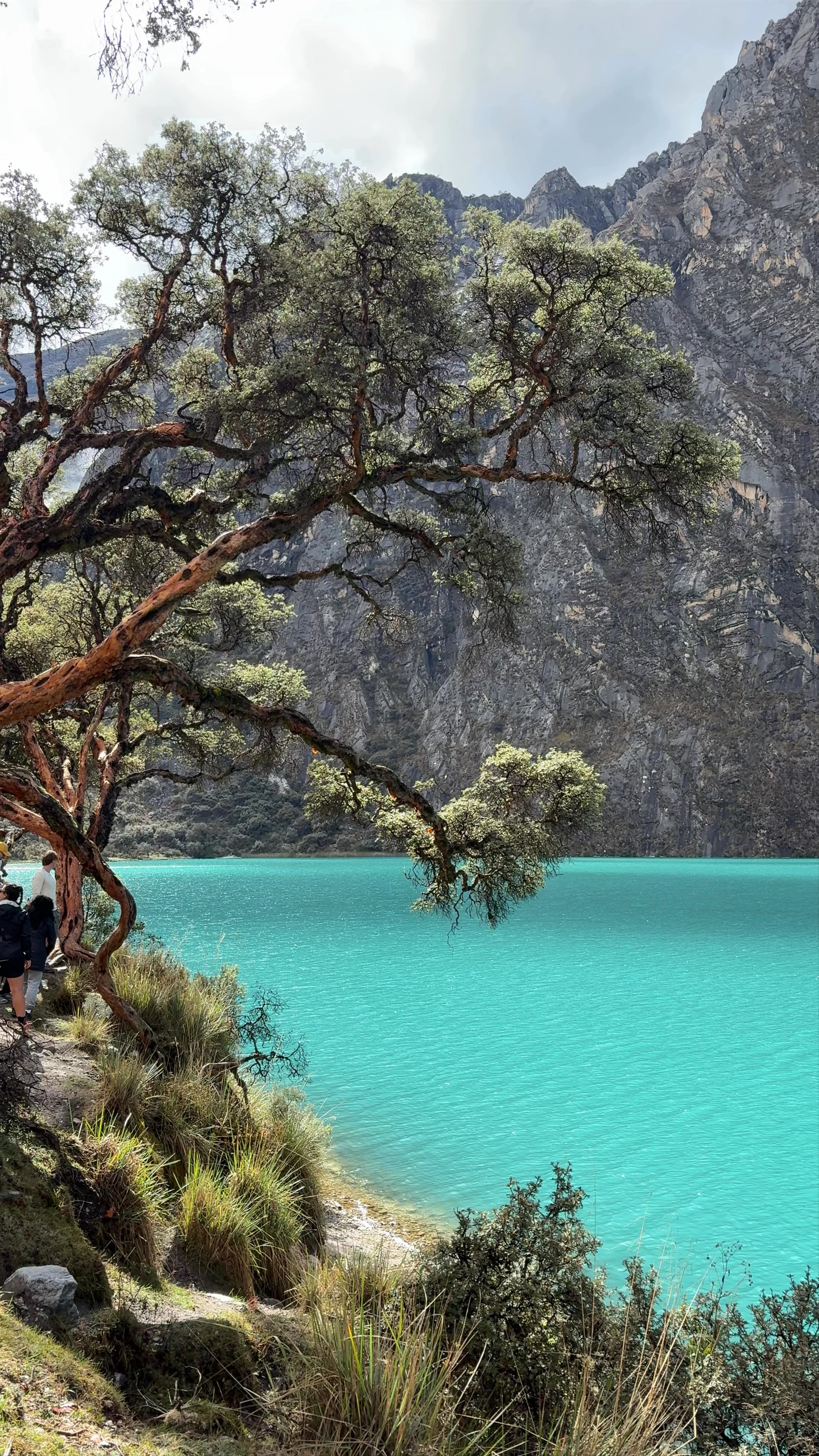 Lagunas del Valle Llanganuco
