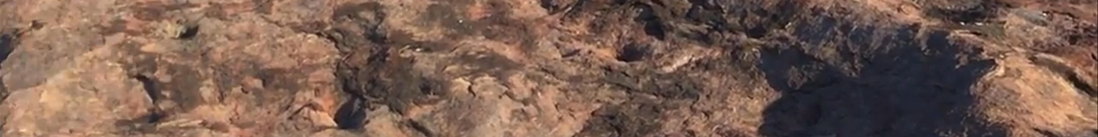 Tours & experiences in Yulara