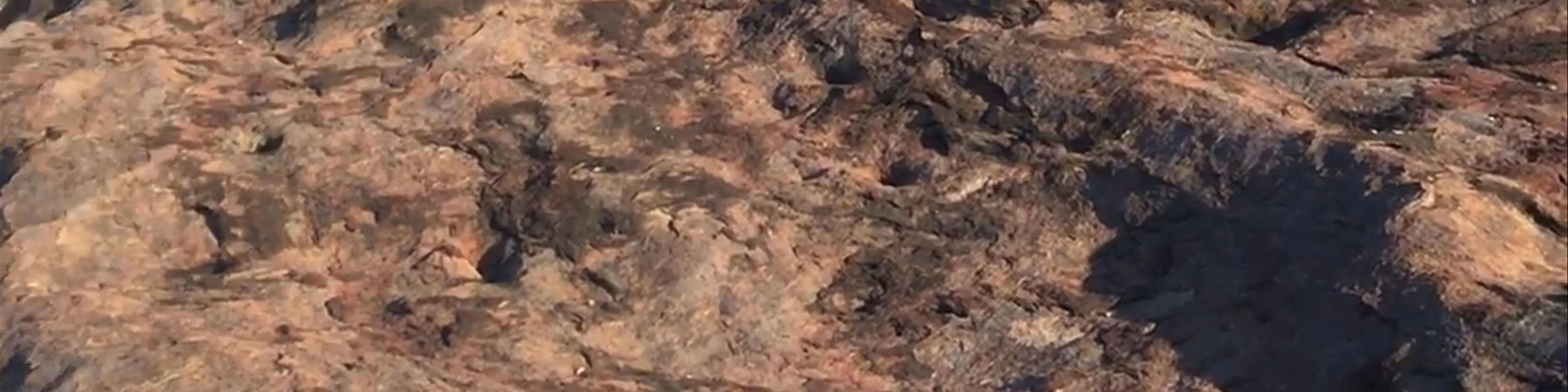 Uluru