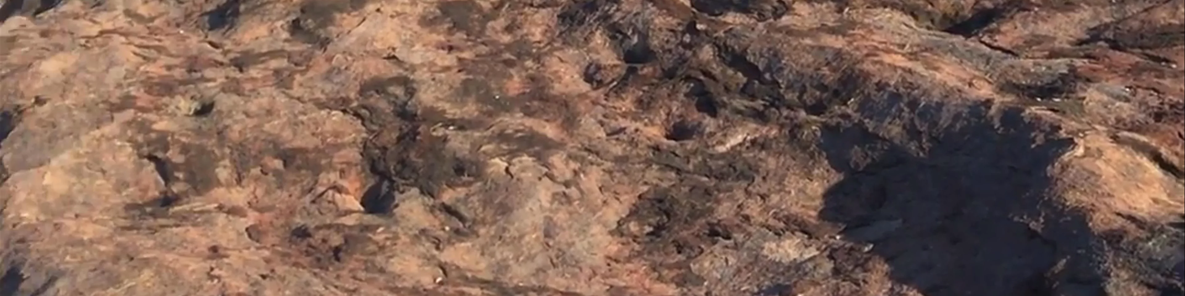 Uluru