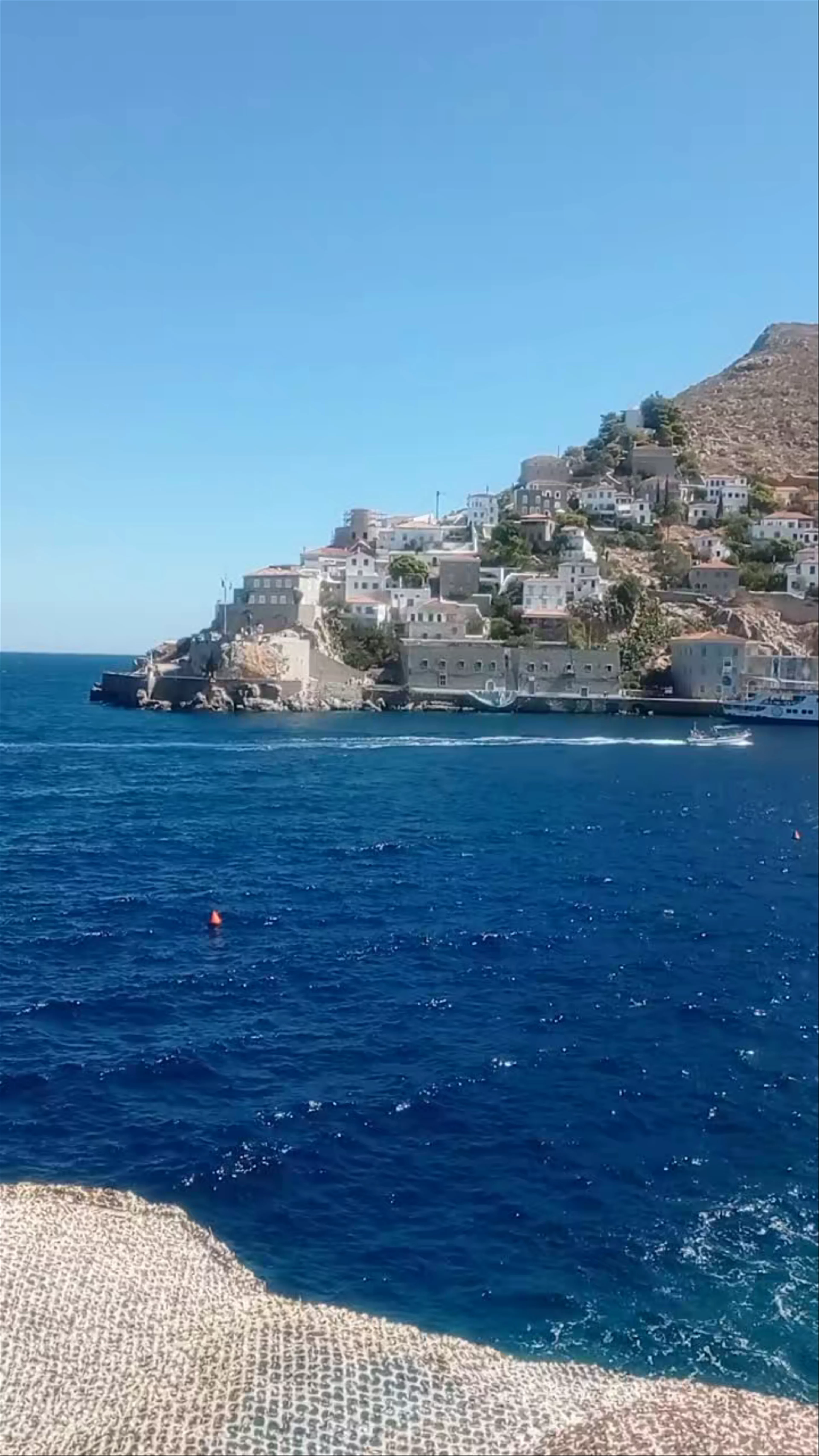 Hydra