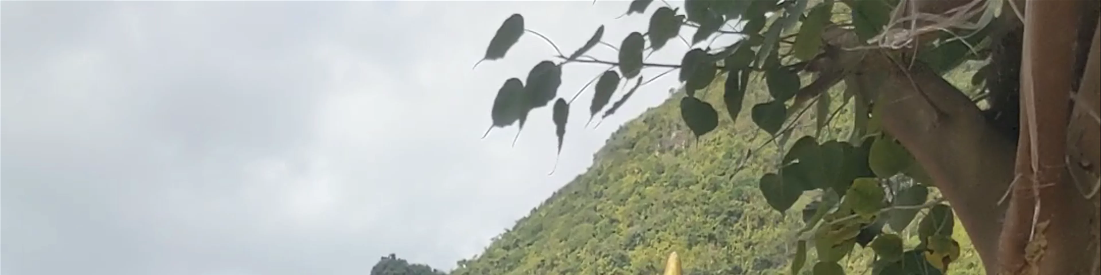 Laos