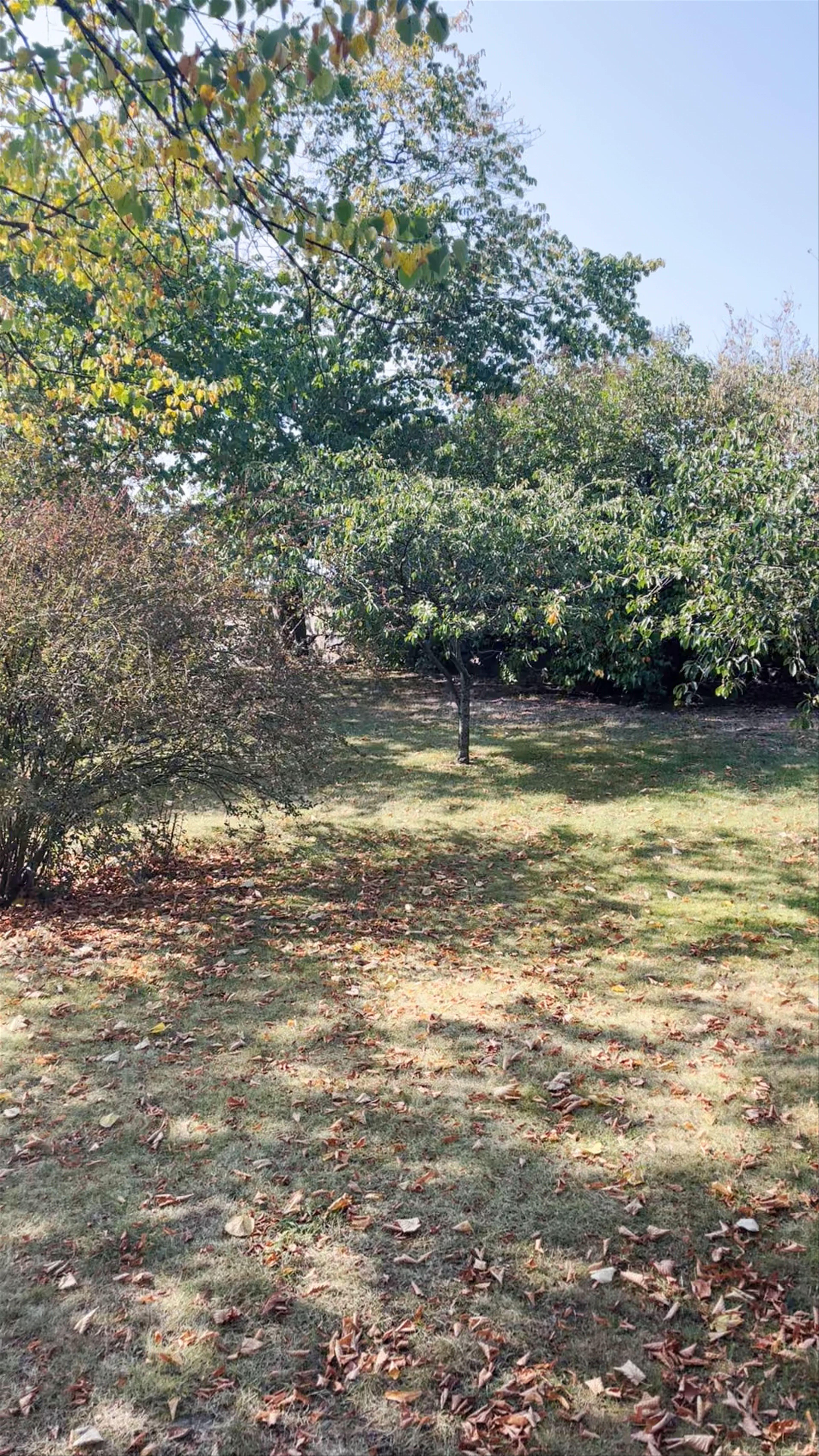Tove Jansson Park
