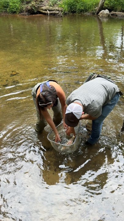 Blackberry Farm - Many activities - fly fishing lessons with Ben & what a great instructor - Resorts Near Me - Walland, Tennessee