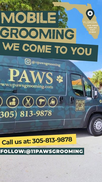 11 Paws Grooming - MOBILE GROOMING - Pet Groomers Near Me - Miami, Florida