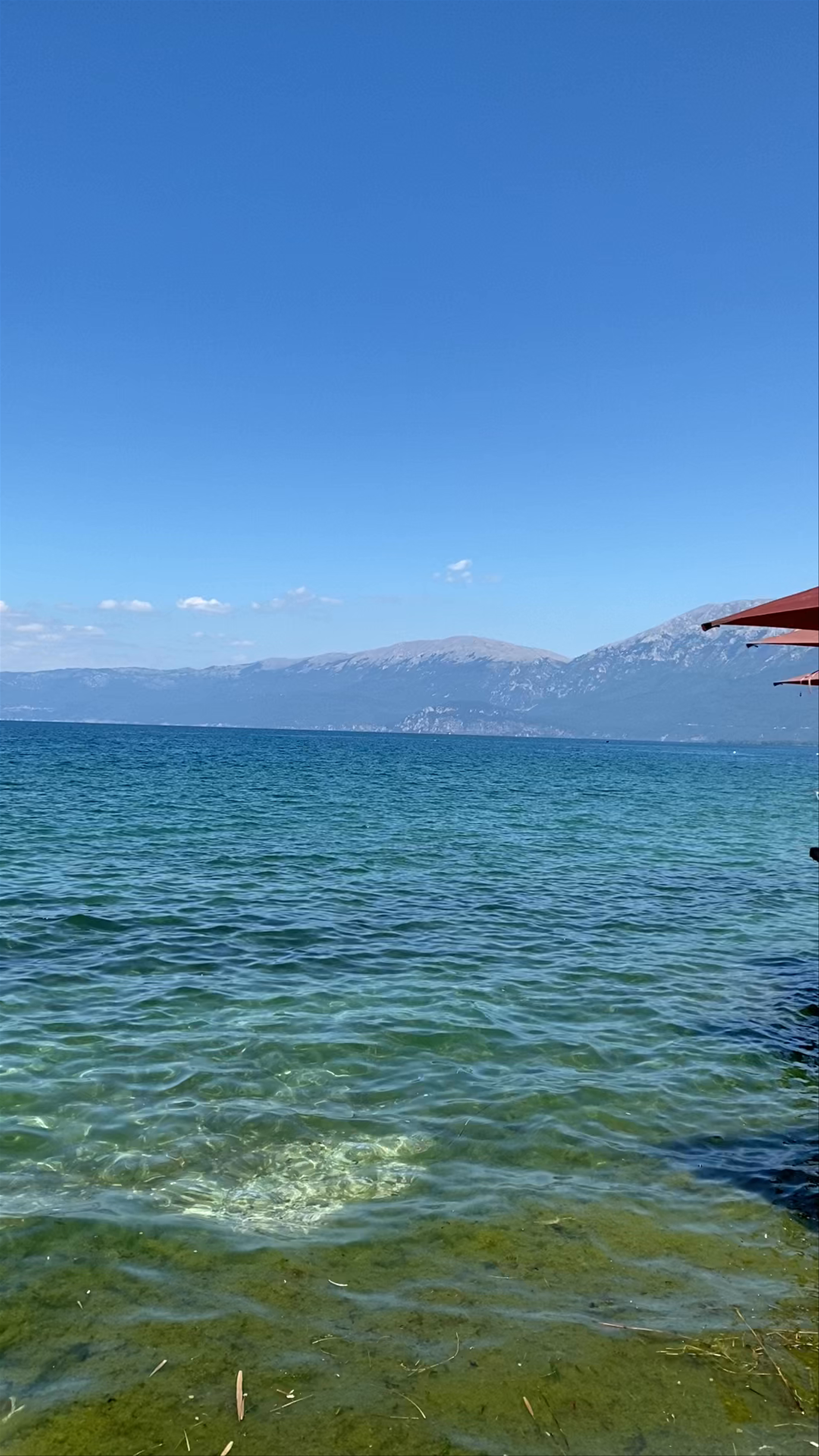 Bar Pelikani by the Sparkling Shores of Lake Ohrid in Pogradec, Albania