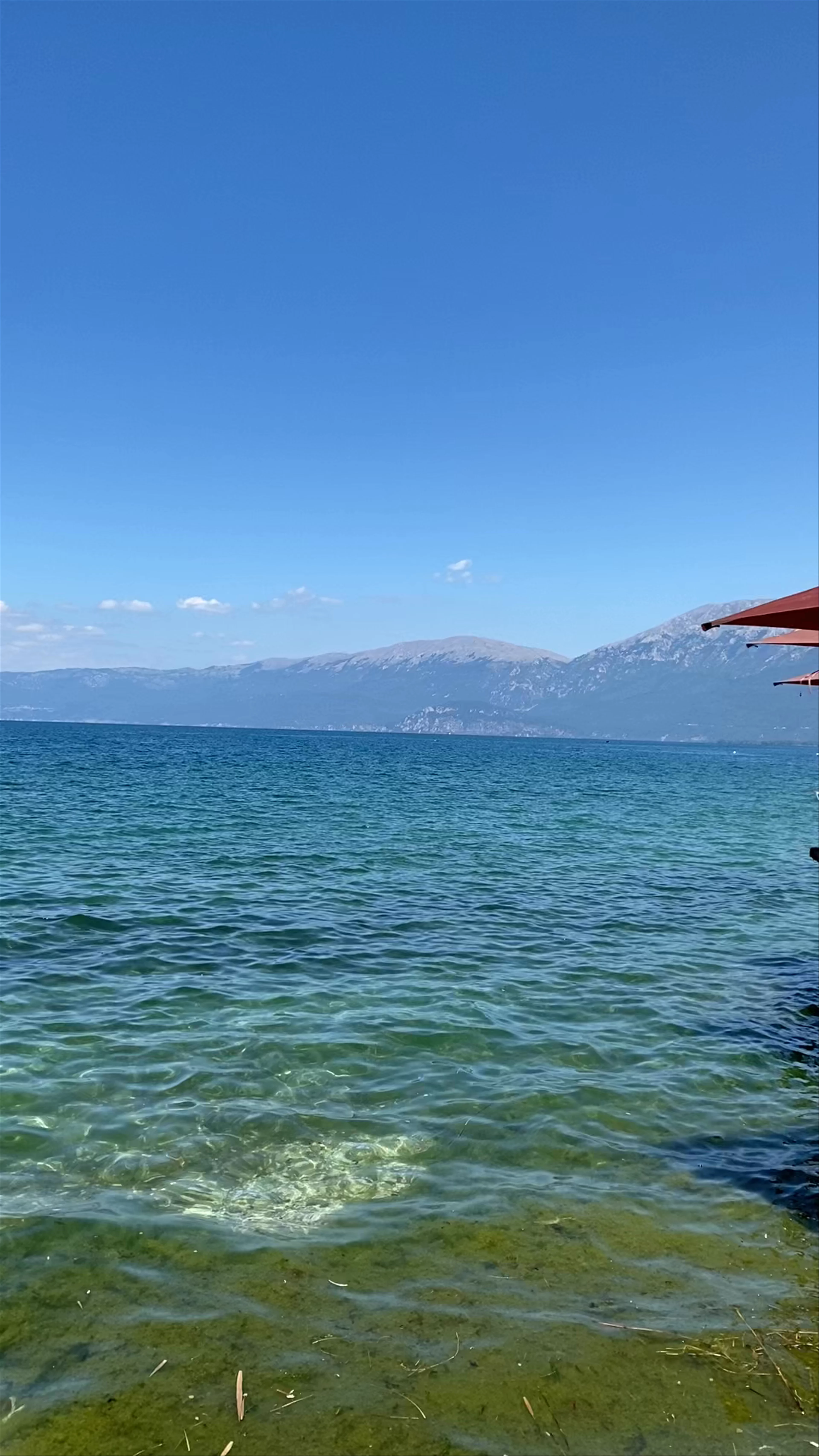 Bar Pelikani, Shetitorja 1 Maji, Pogradec