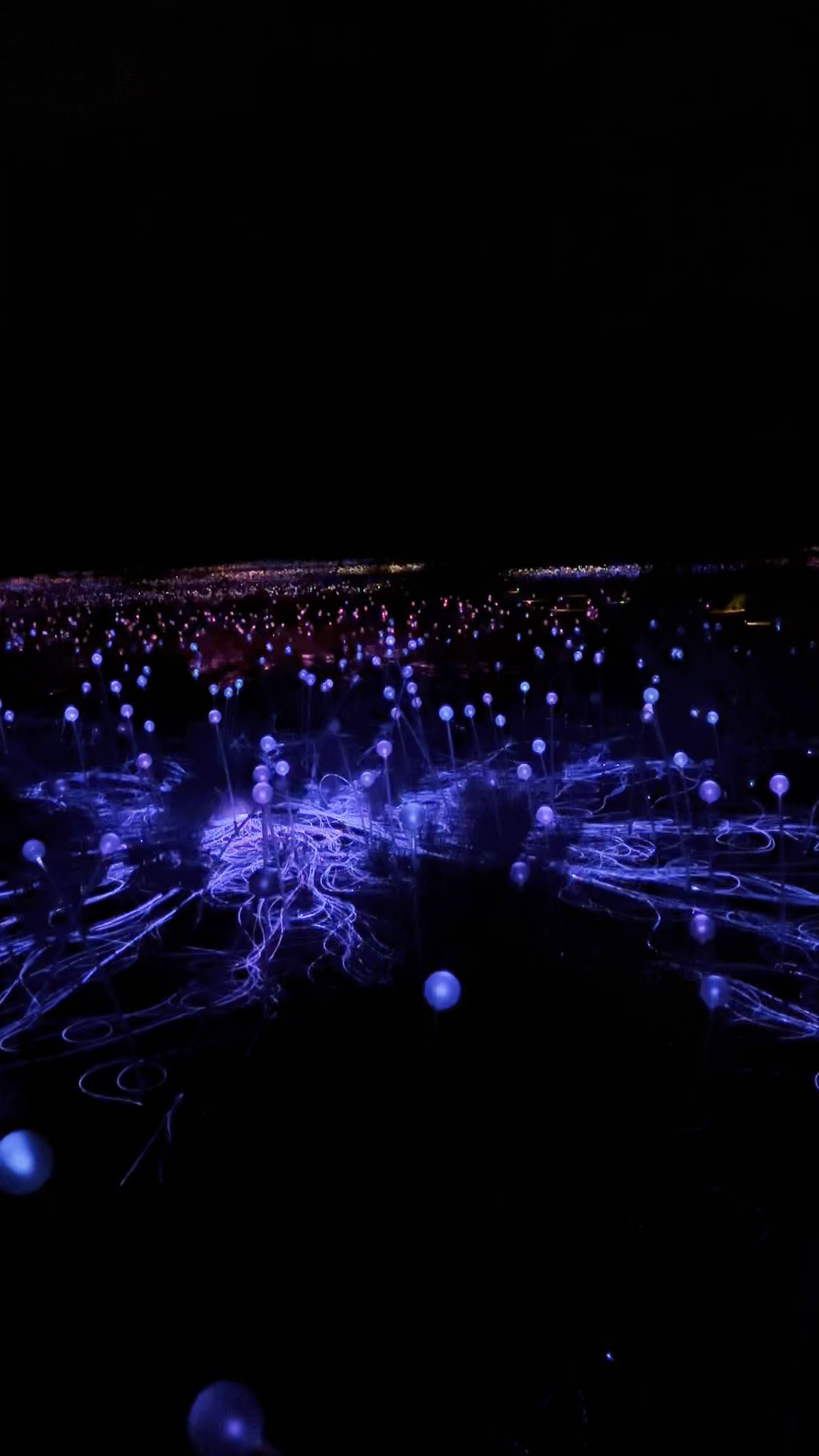 Field of Light Uluru