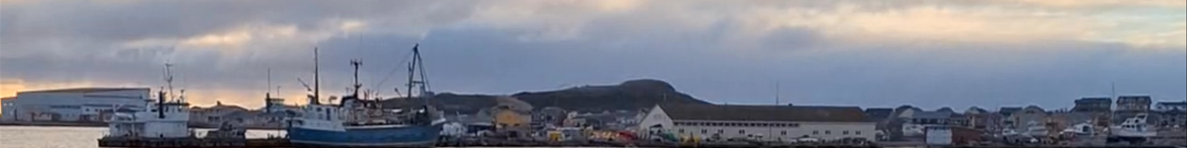 Tours & experiences in Saint Pierre and Miquelon