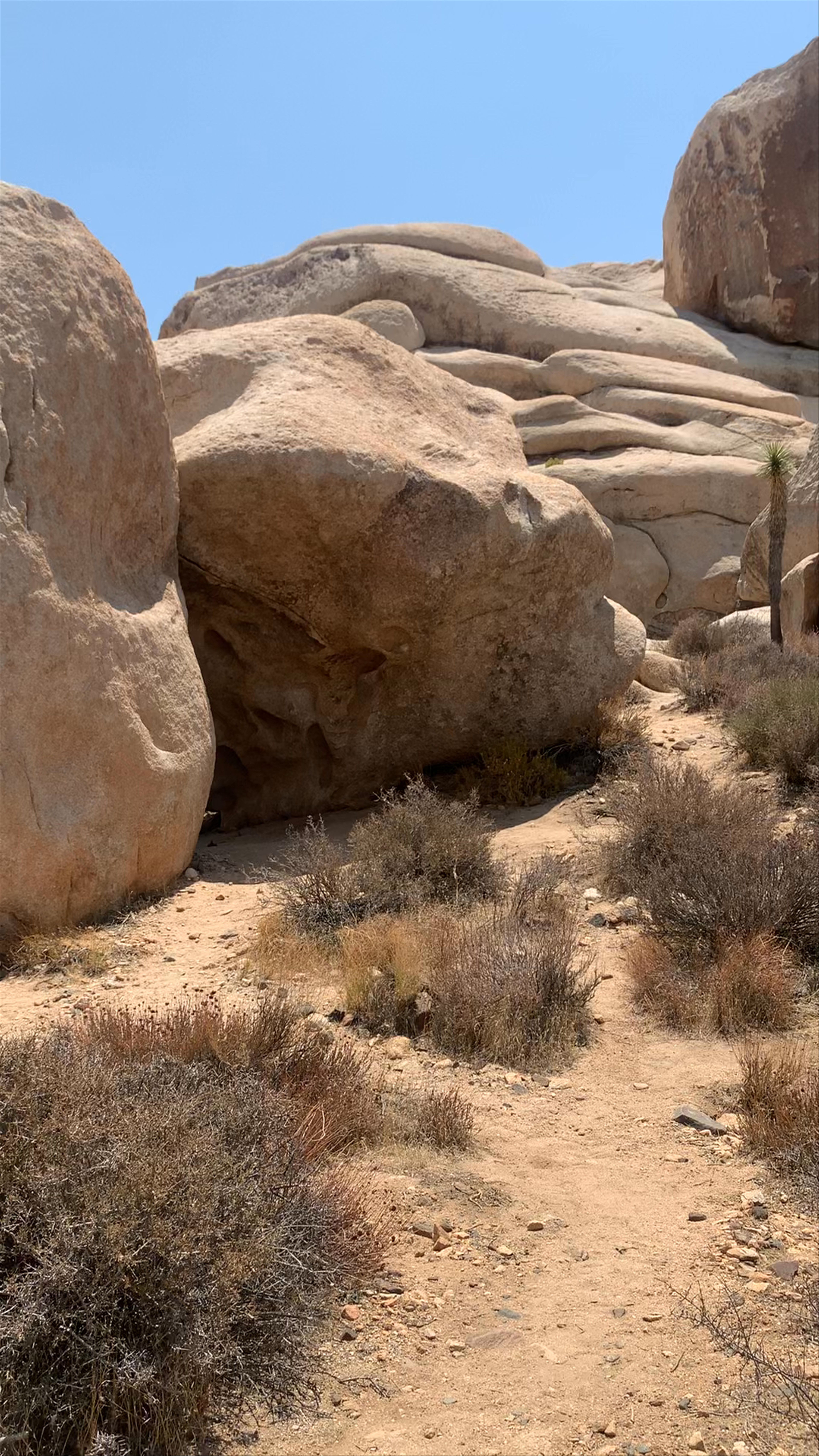 Hall of Horrors Trail/Rock