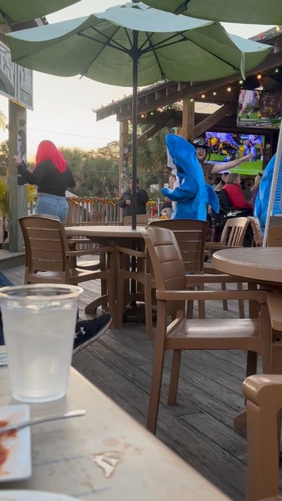 Loggerhead's Beach Grill - sharks - Music Venues Near Me - Folly Beach, South Carolina