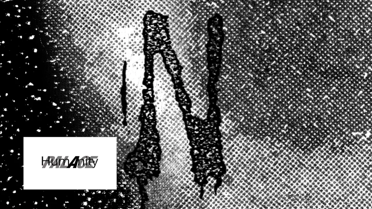 PALACE ANARCHIC ADJUSTMENT | PALACE SKATEBOARDS