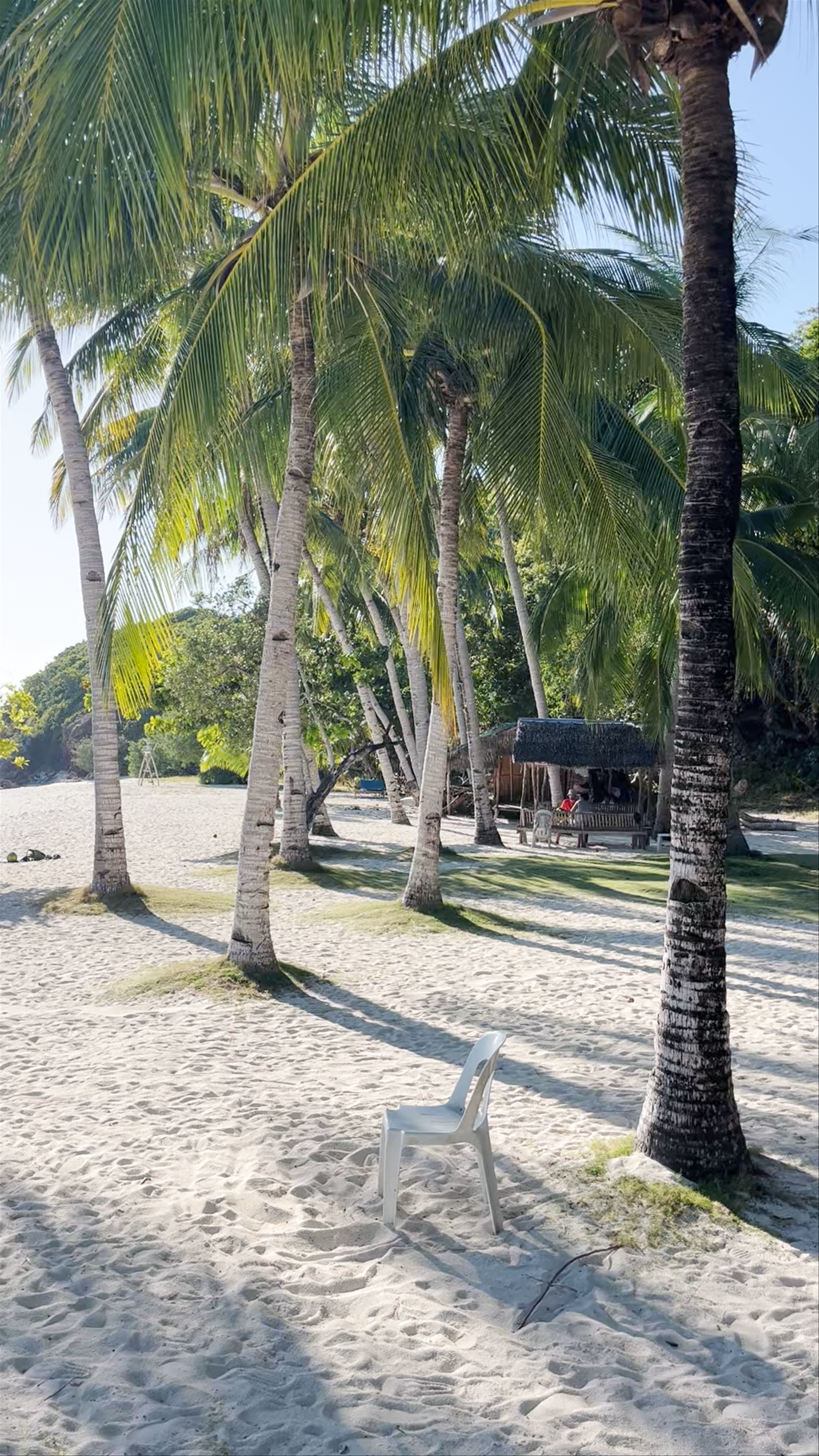 Malcapuya Island: Tropical Paradise Escape in the Philippines