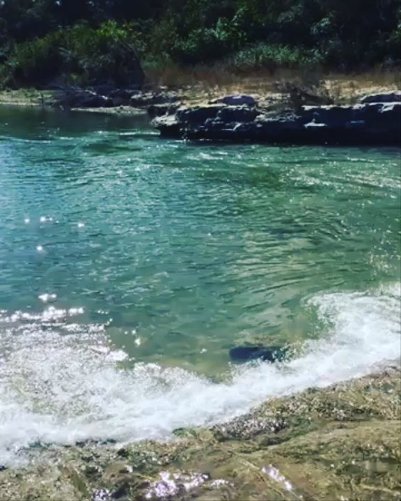 Five Mile Dam Park - Great place to bring your dogs to let them swim! So fun! - Parks Near Me - Kyle, Texas