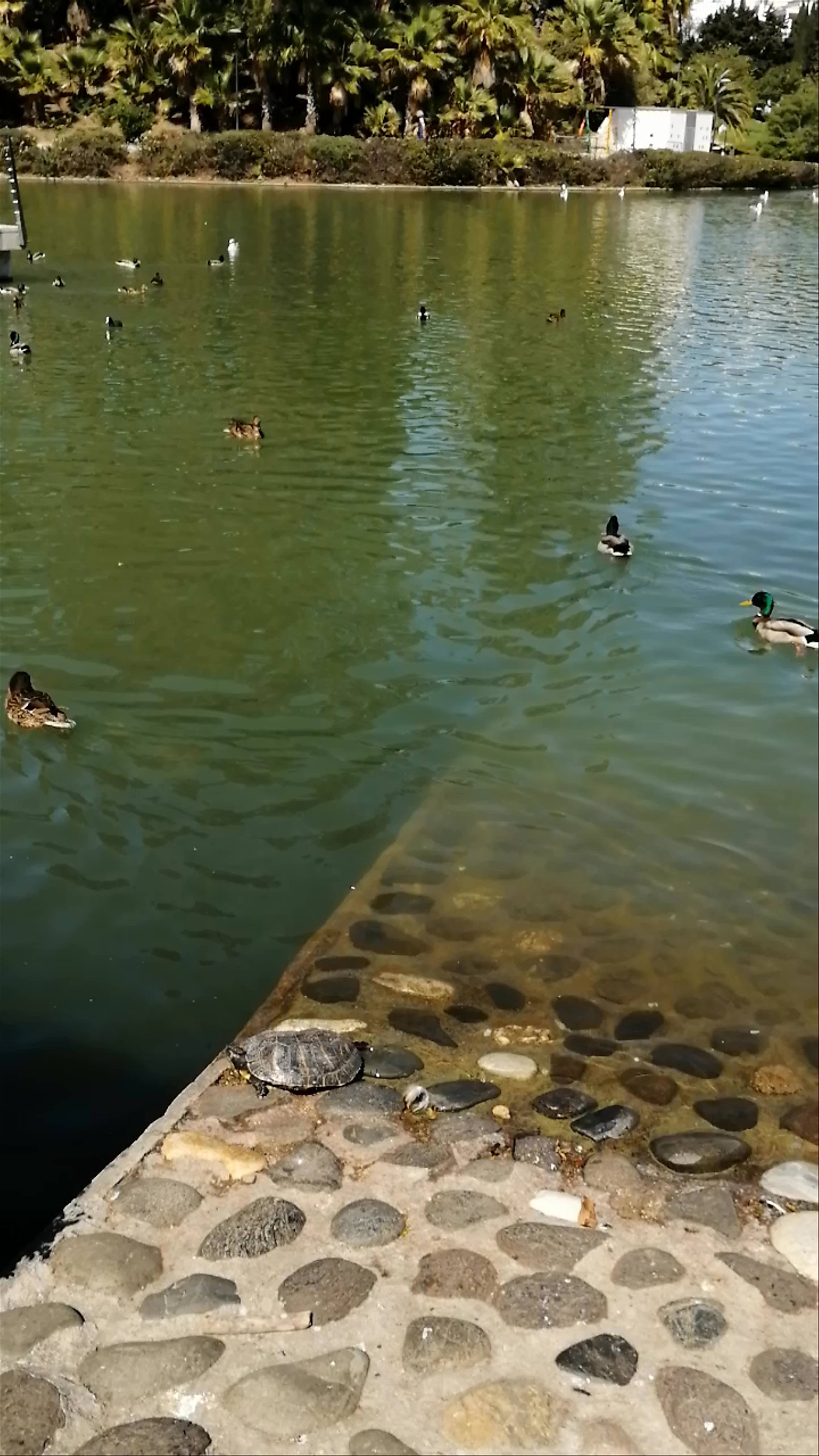 Parque de la Paloma