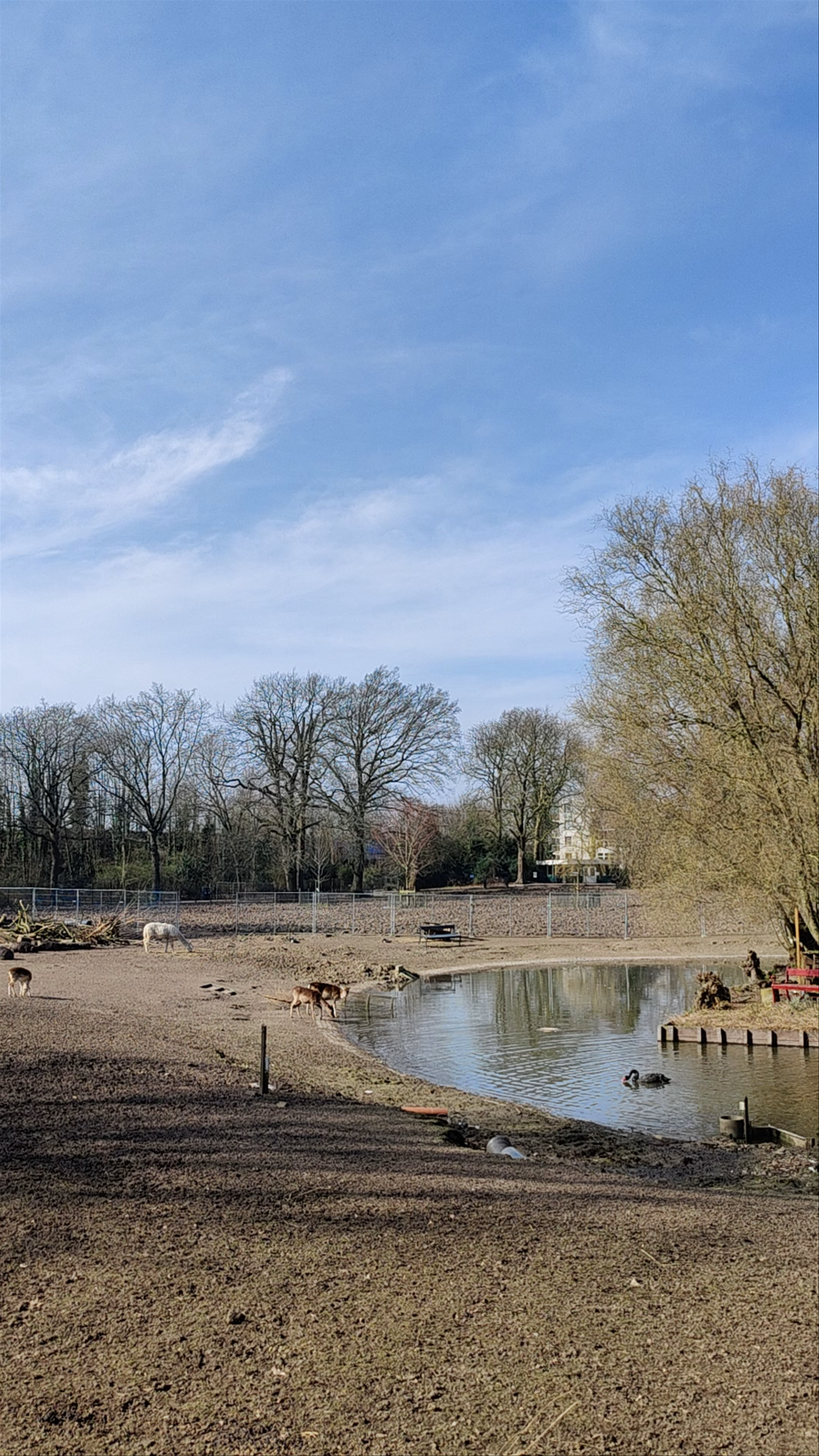 Dierenweide Julianapark
