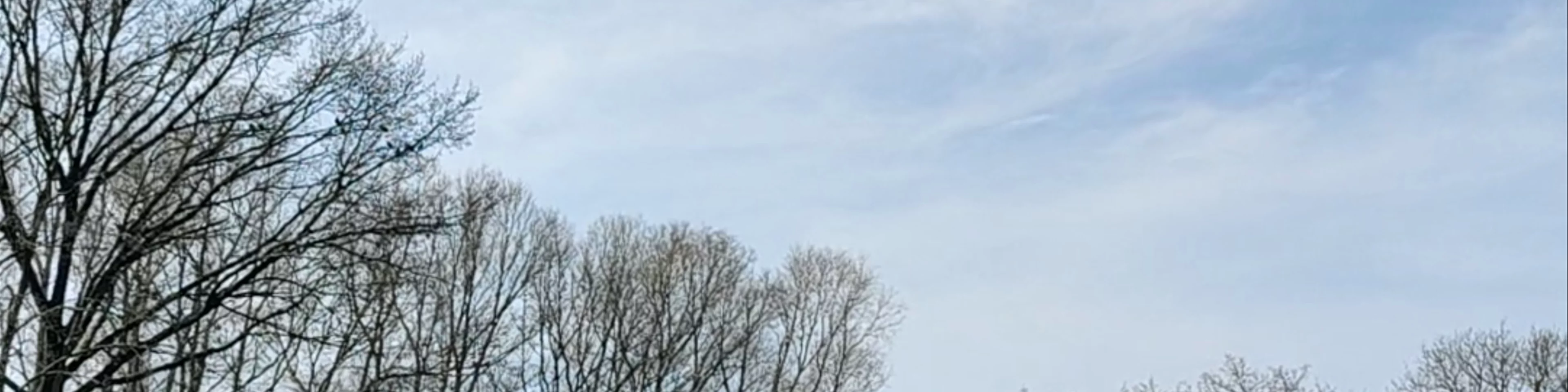 Dierenweide Julianapark