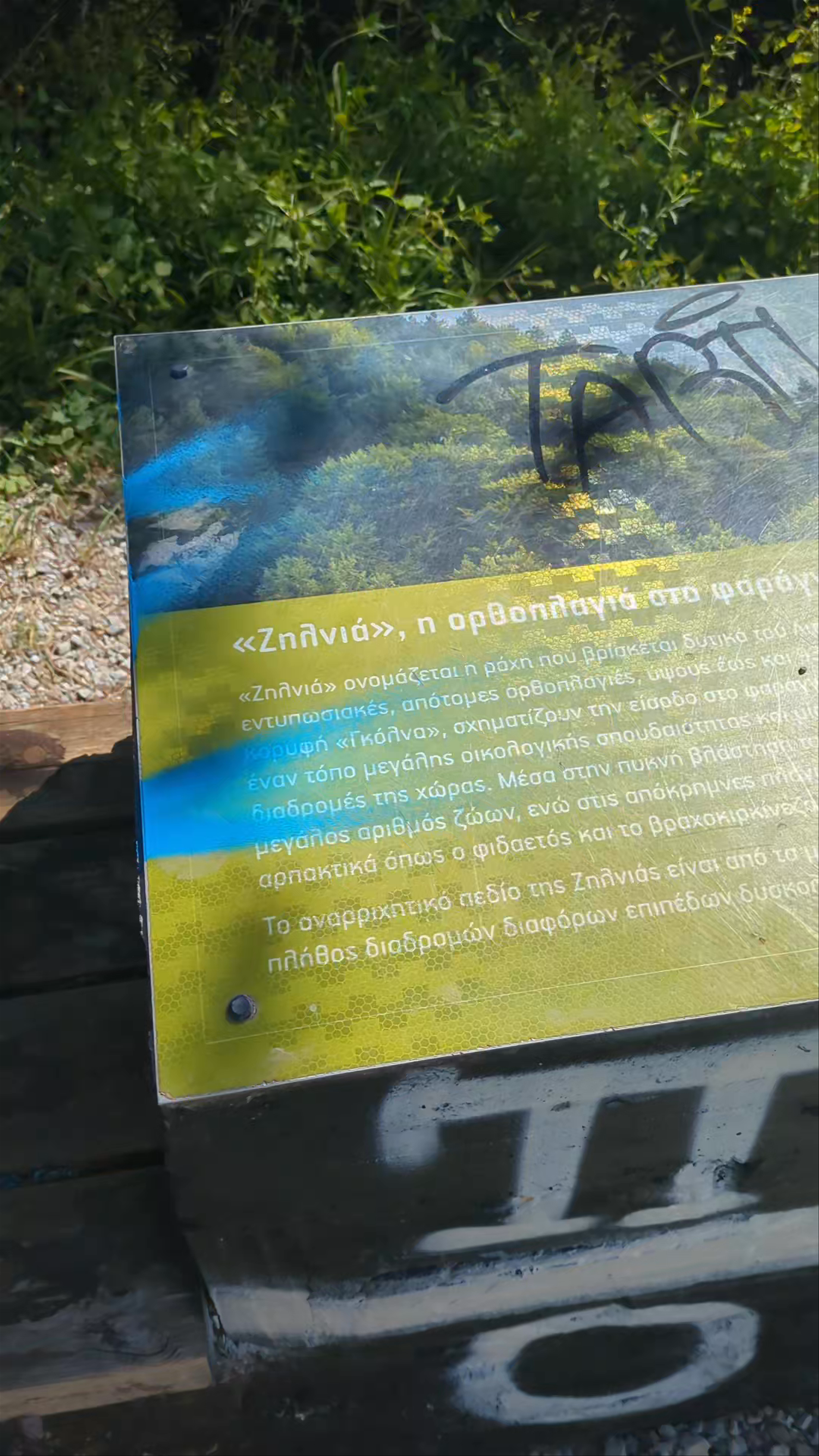Δασική θέση Ζιλνιά