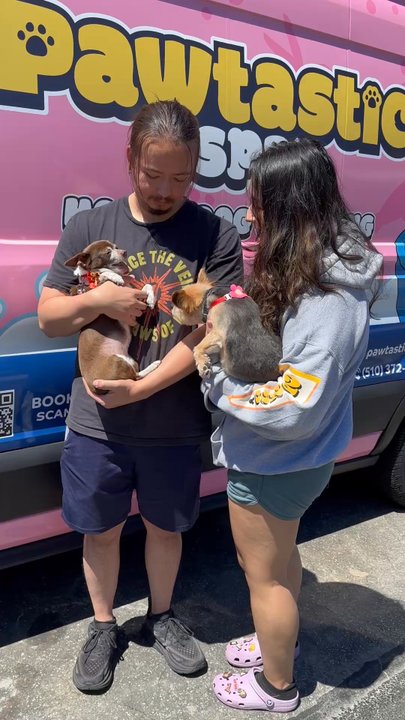 Pawtastic Spa - Our three fluffers had an amazing spa day today with Pawtastic, and we highly recommend them. Ask for Ingrid! - Pet Groomers Near Me