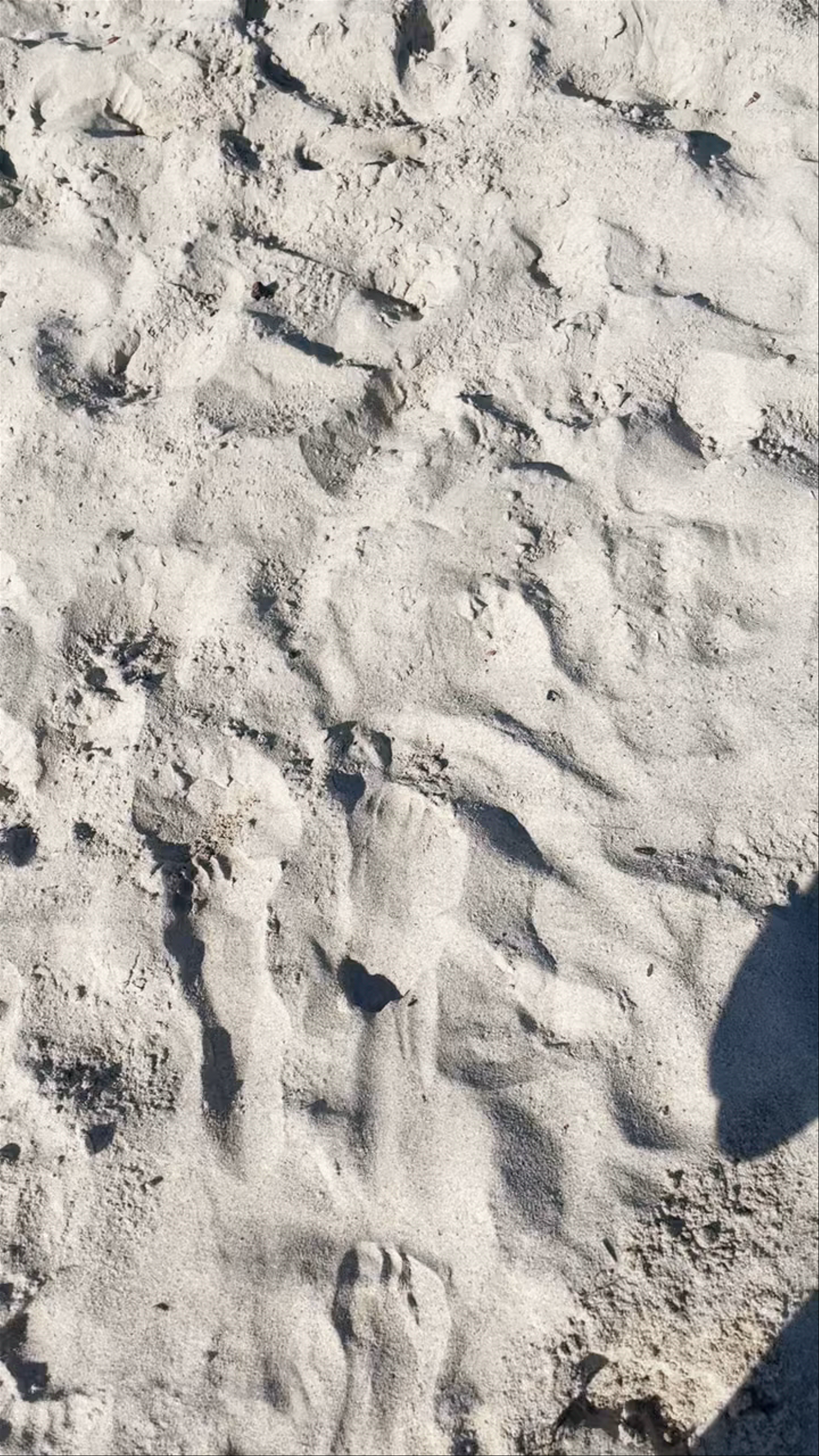 Hannah Montana House