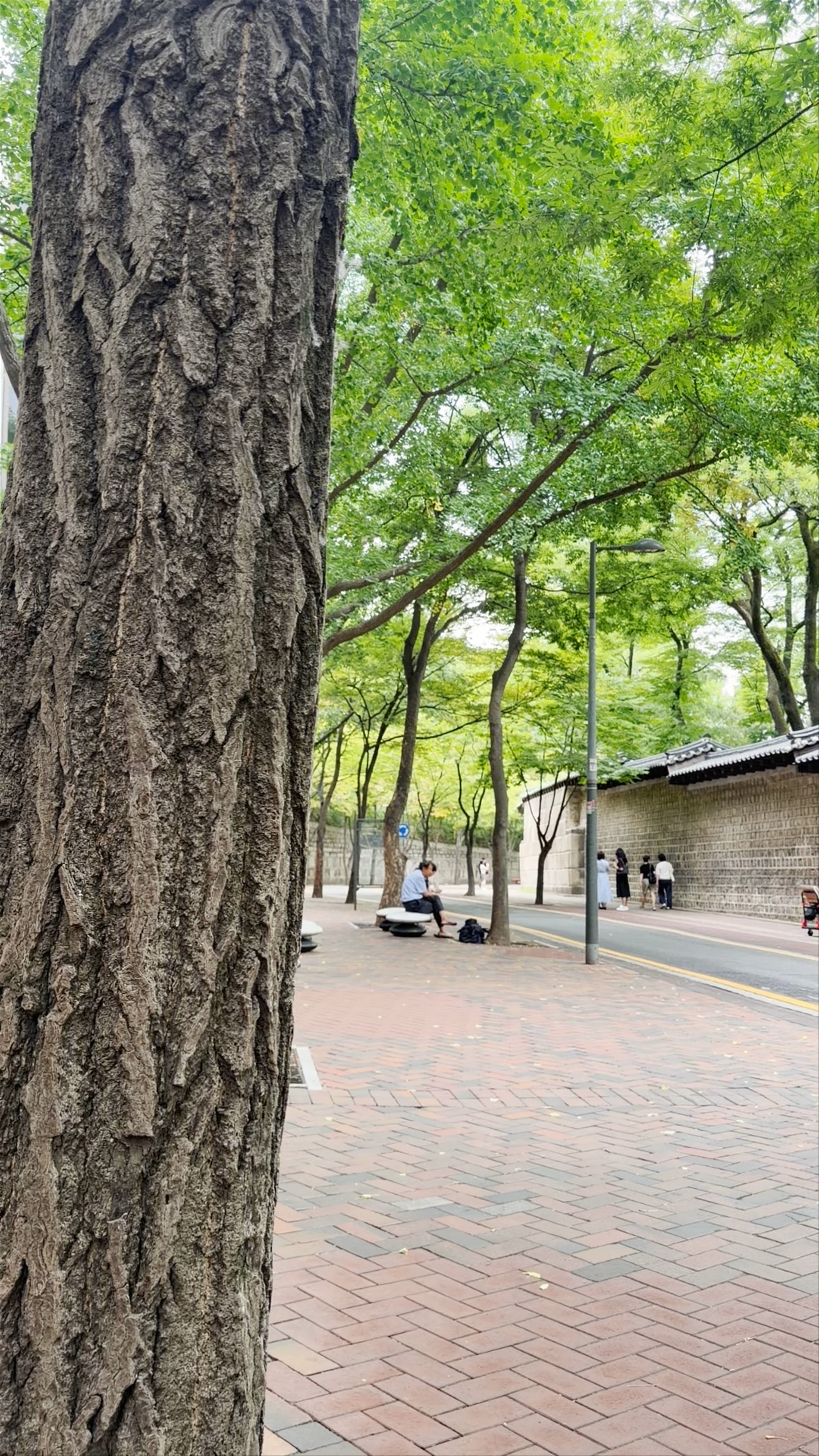 Deoksugung Doldamgil (Stone-wall Road)